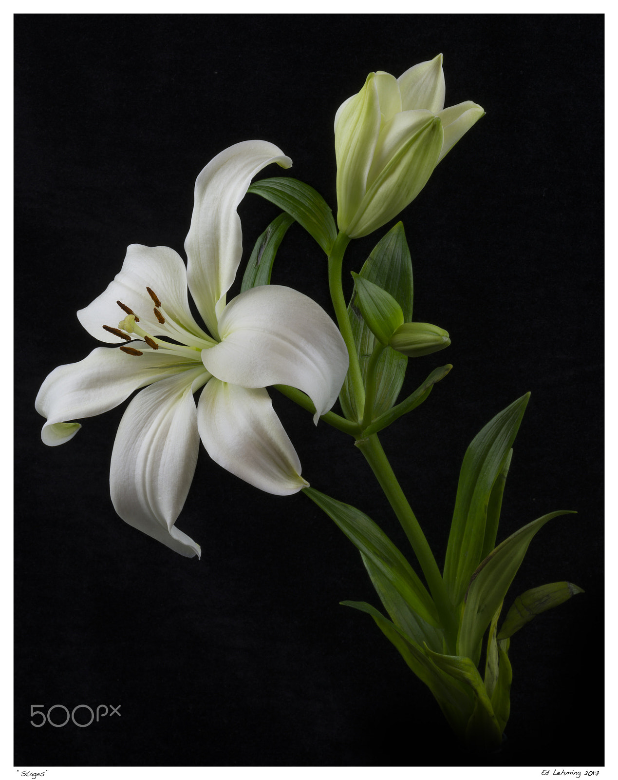 Nikon D800 sample photo. Stages photography