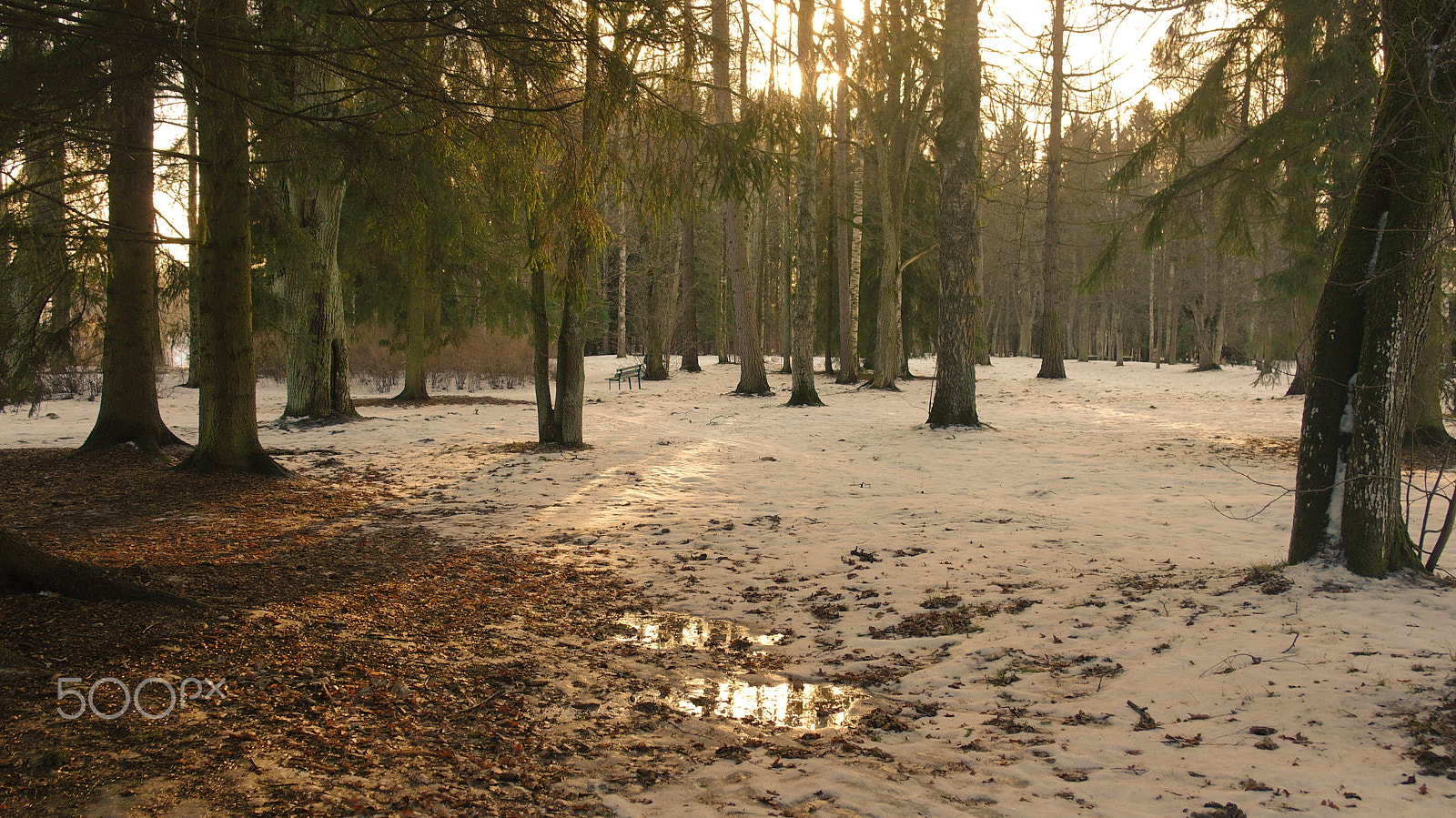 Samsung NX100 sample photo. Pavlovsk 2017 photography