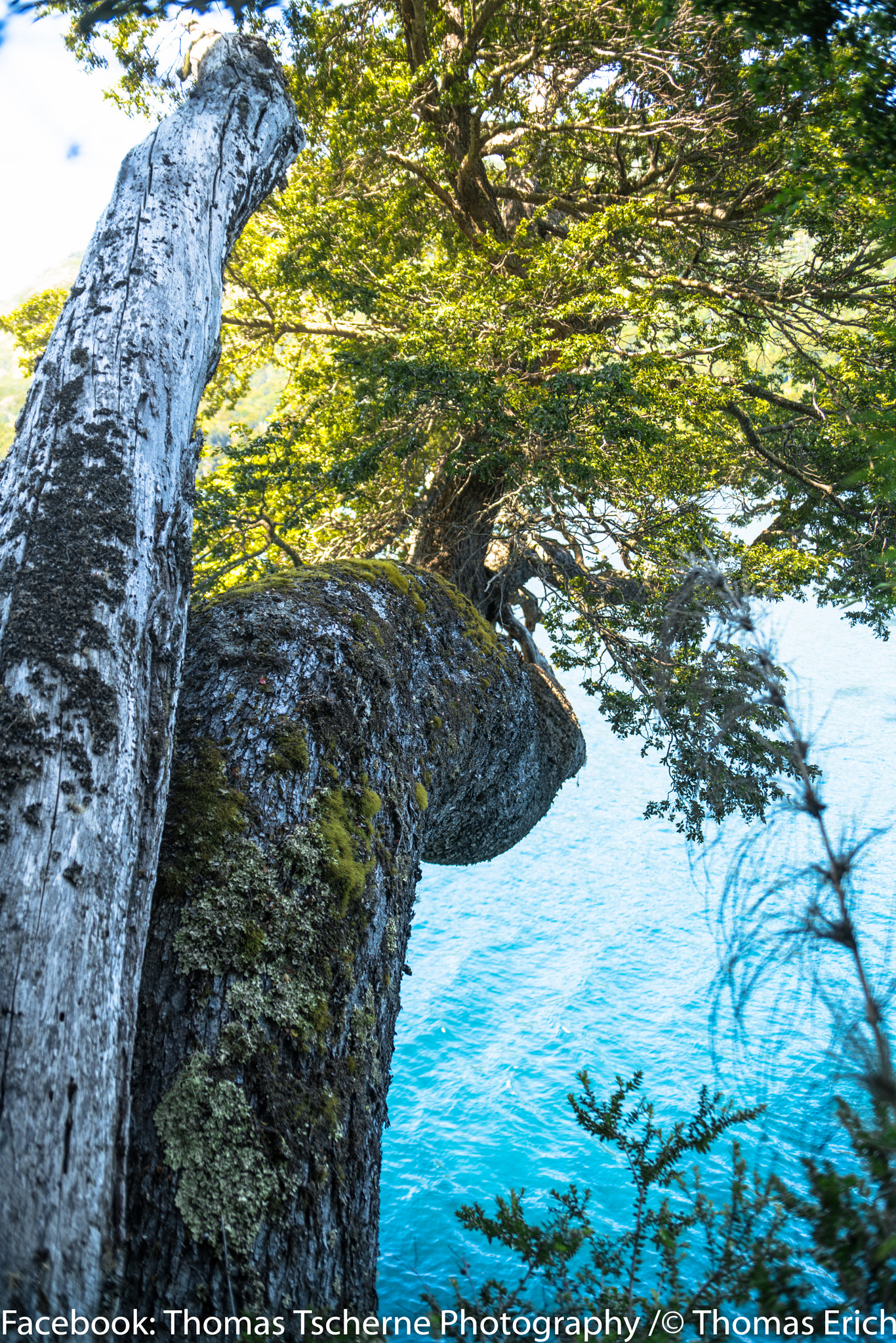 Sony a7R II + Sony 28-75mm F2.8 SAM sample photo. -mother earth- photography