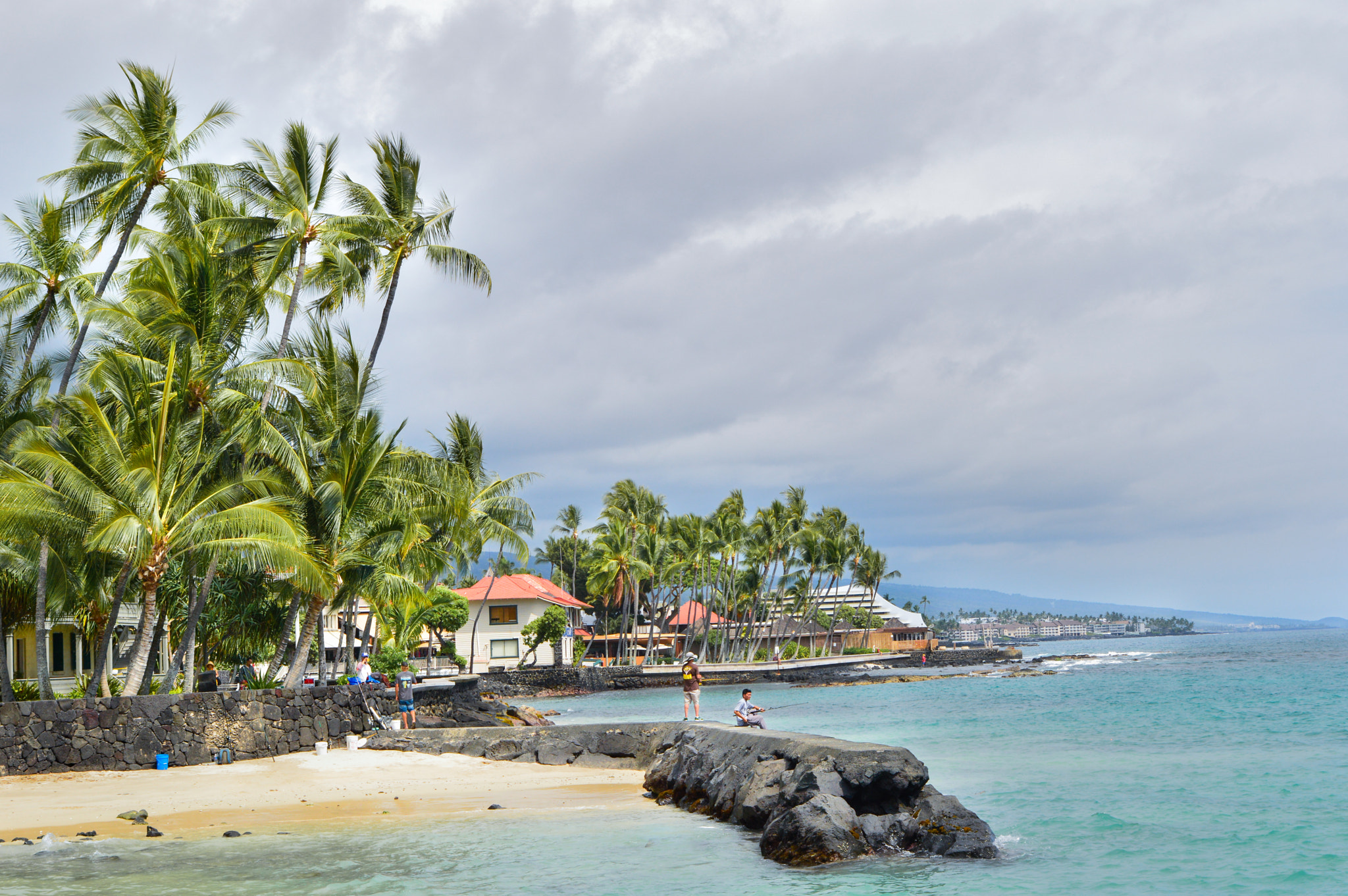 Tamron SP 24-70mm F2.8 Di VC USD sample photo. Palm trees and vibes photography