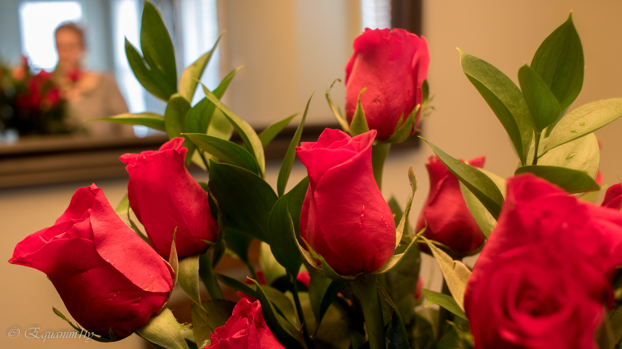 Canon EF-S 24mm F2.8 STM sample photo. For the lovers! happy valentine photography