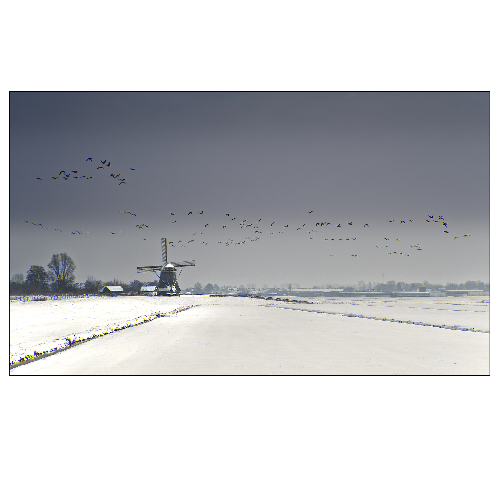 Nikon D700 sample photo. Dutch winter impression photography