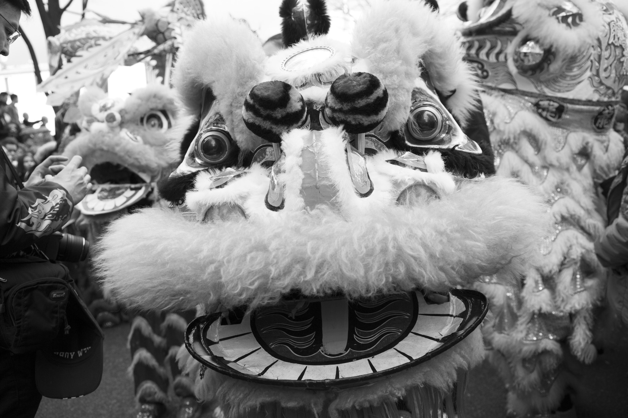 Canon EF 24-105mm F3.5-5.6 IS STM sample photo. Chinese new year photography