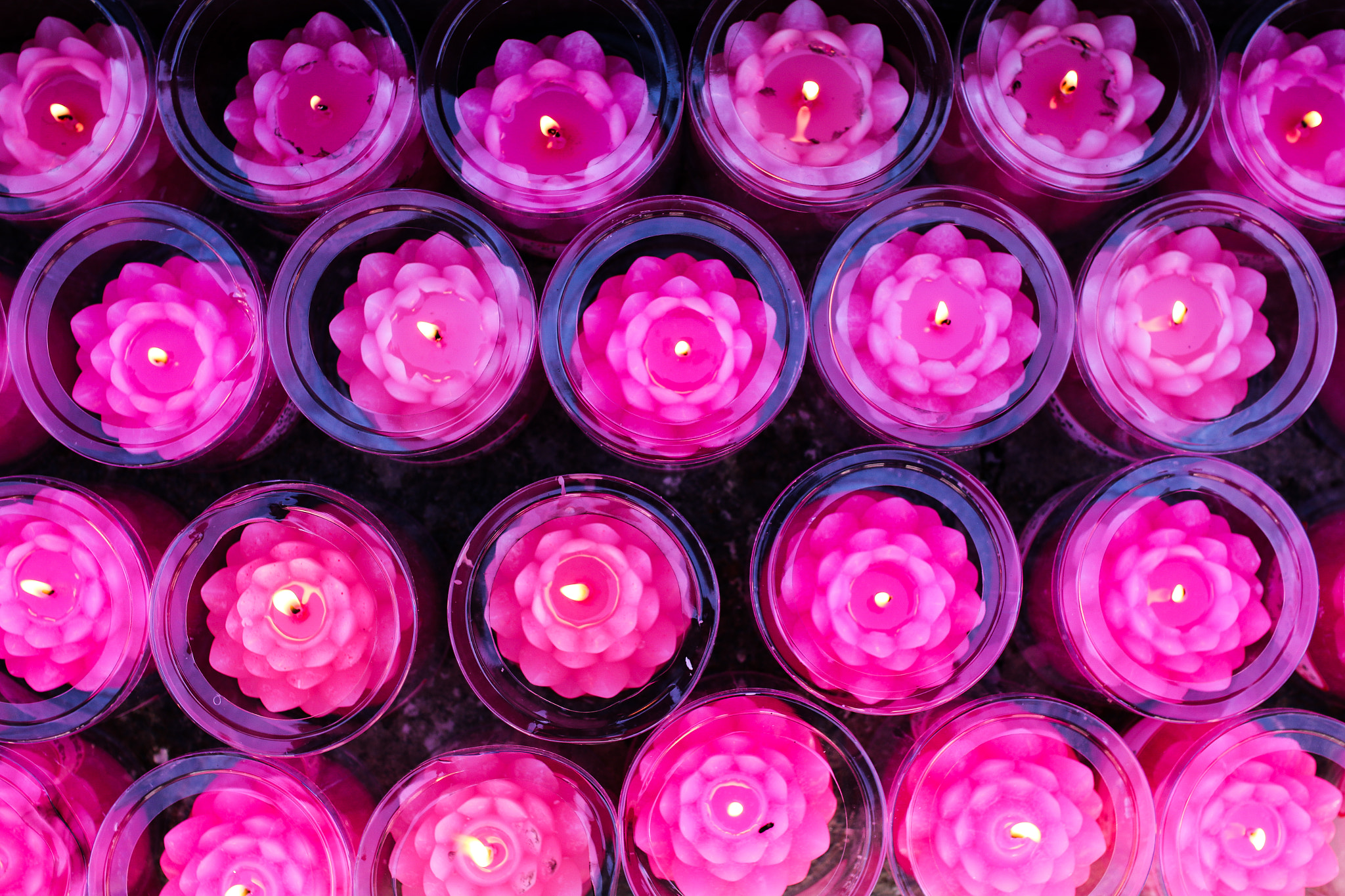 Sigma 30mm F1.4 EX DC HSM sample photo. Wishes photography