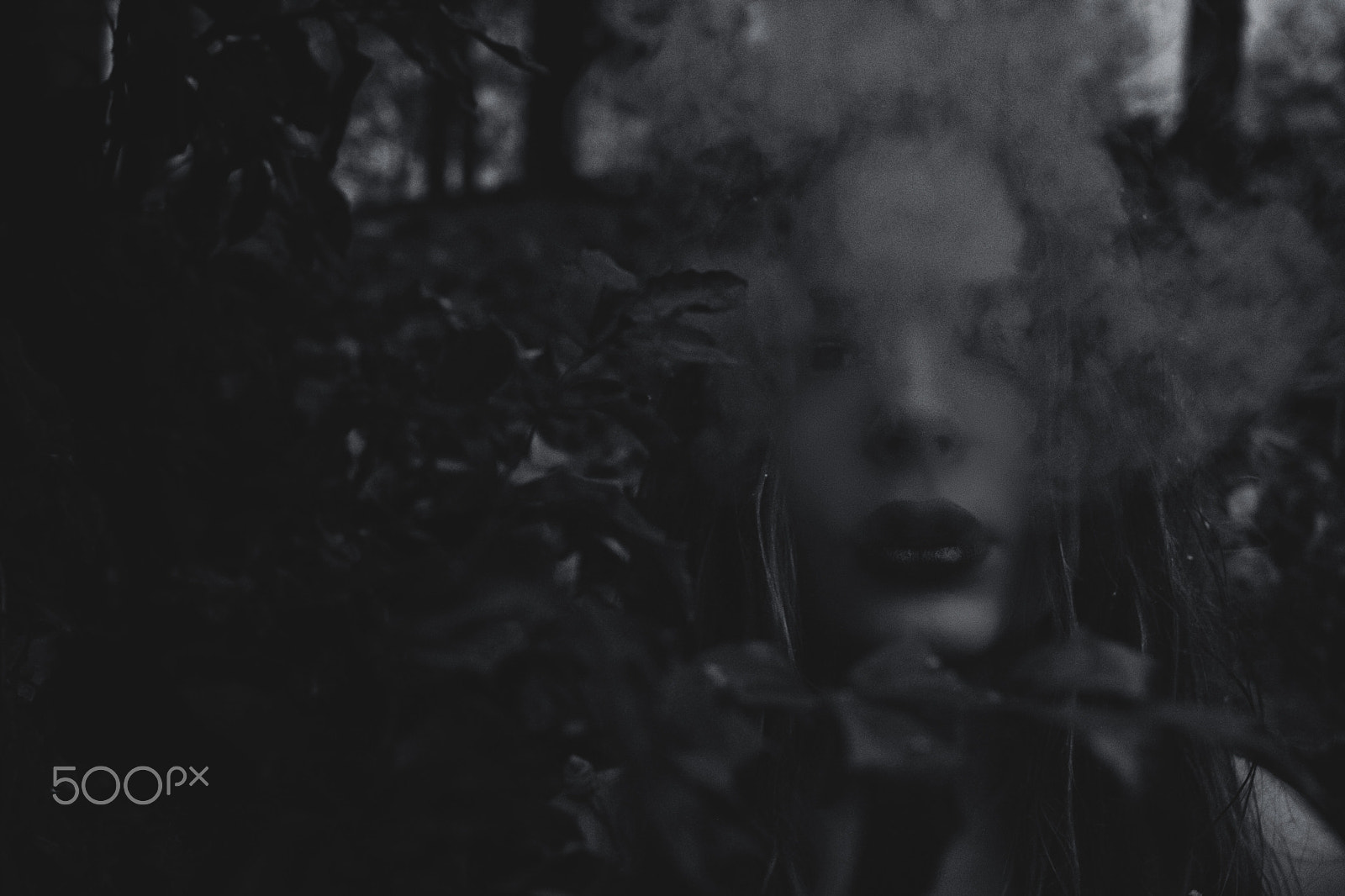 Canon EF-S 24mm F2.8 STM sample photo. Lost in a dream # photography