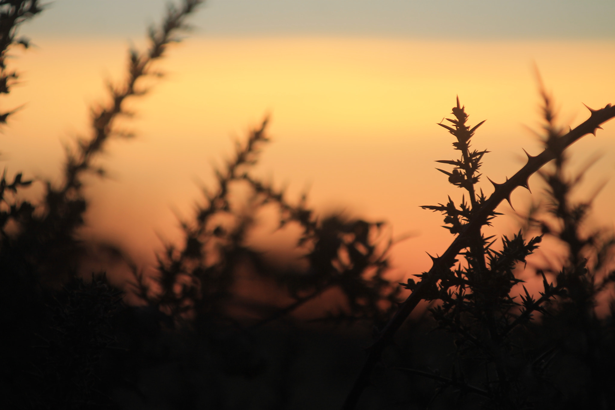 Canon EF 80-200mm F4.5-5.6 II sample photo. Sunset photography