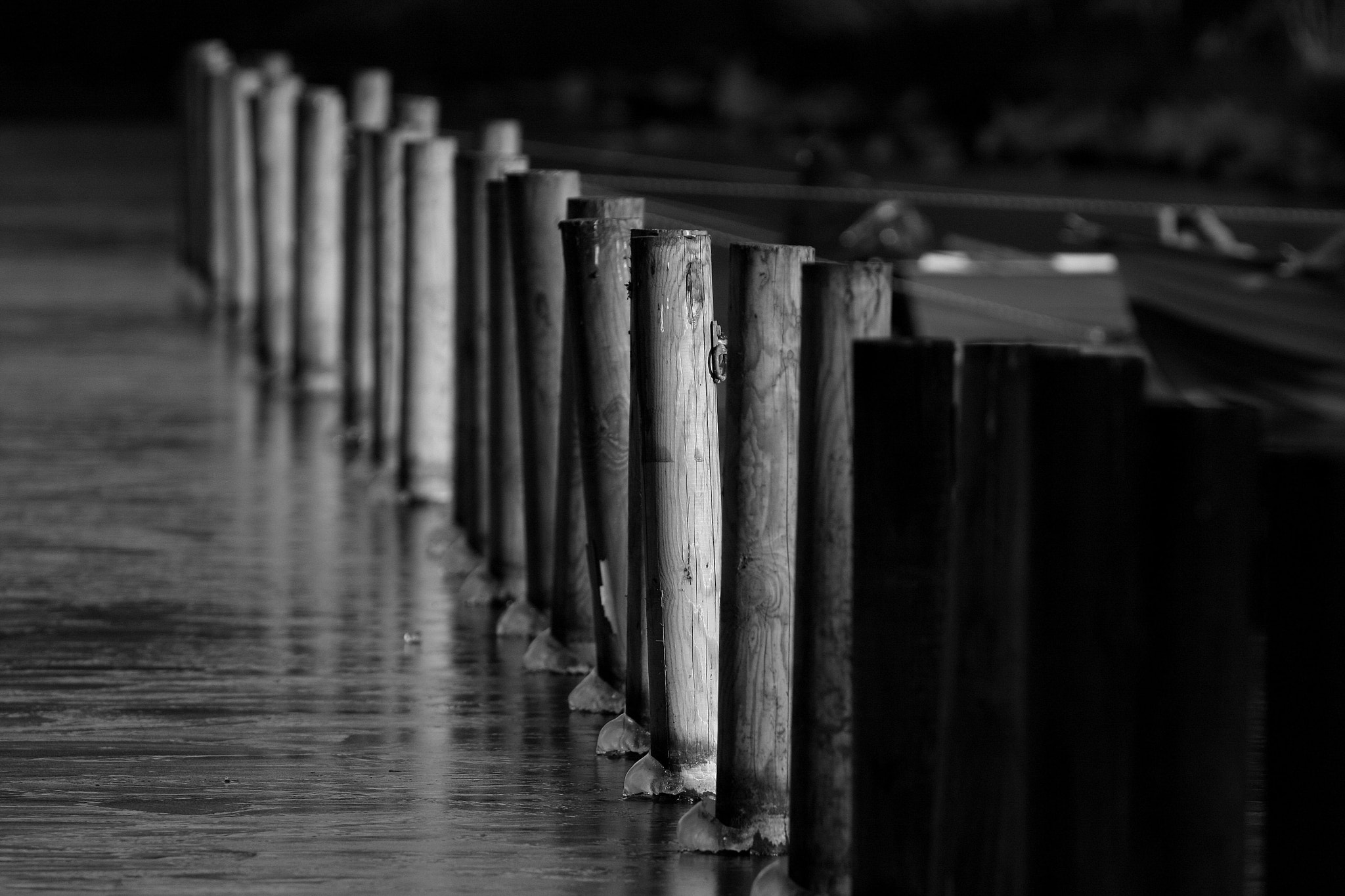 Canon EOS 40D + Canon EF 50mm f/1.8 sample photo. Ice photography
