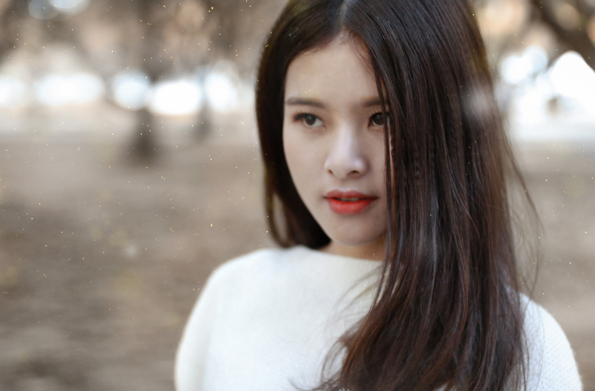 Canon EOS 50D + Sigma 35mm F1.4 DG HSM Art sample photo. Mg photography