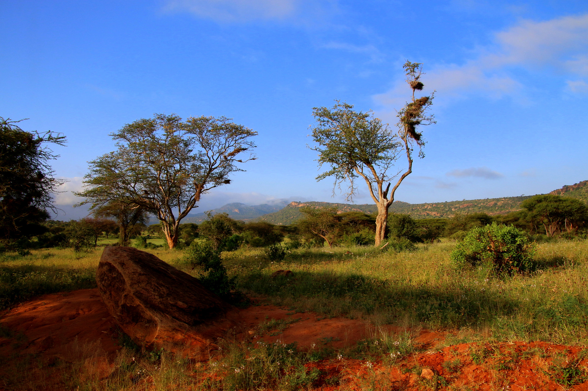 Canon EOS 650D (EOS Rebel T4i / EOS Kiss X6i) sample photo. Tsavo, kenya photography