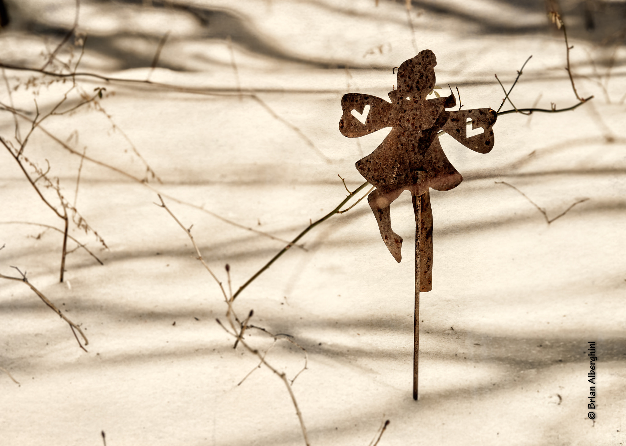 Nikon D7100 + Sigma 24-105mm F4 DG OS HSM Art sample photo. Winter garden faery photography