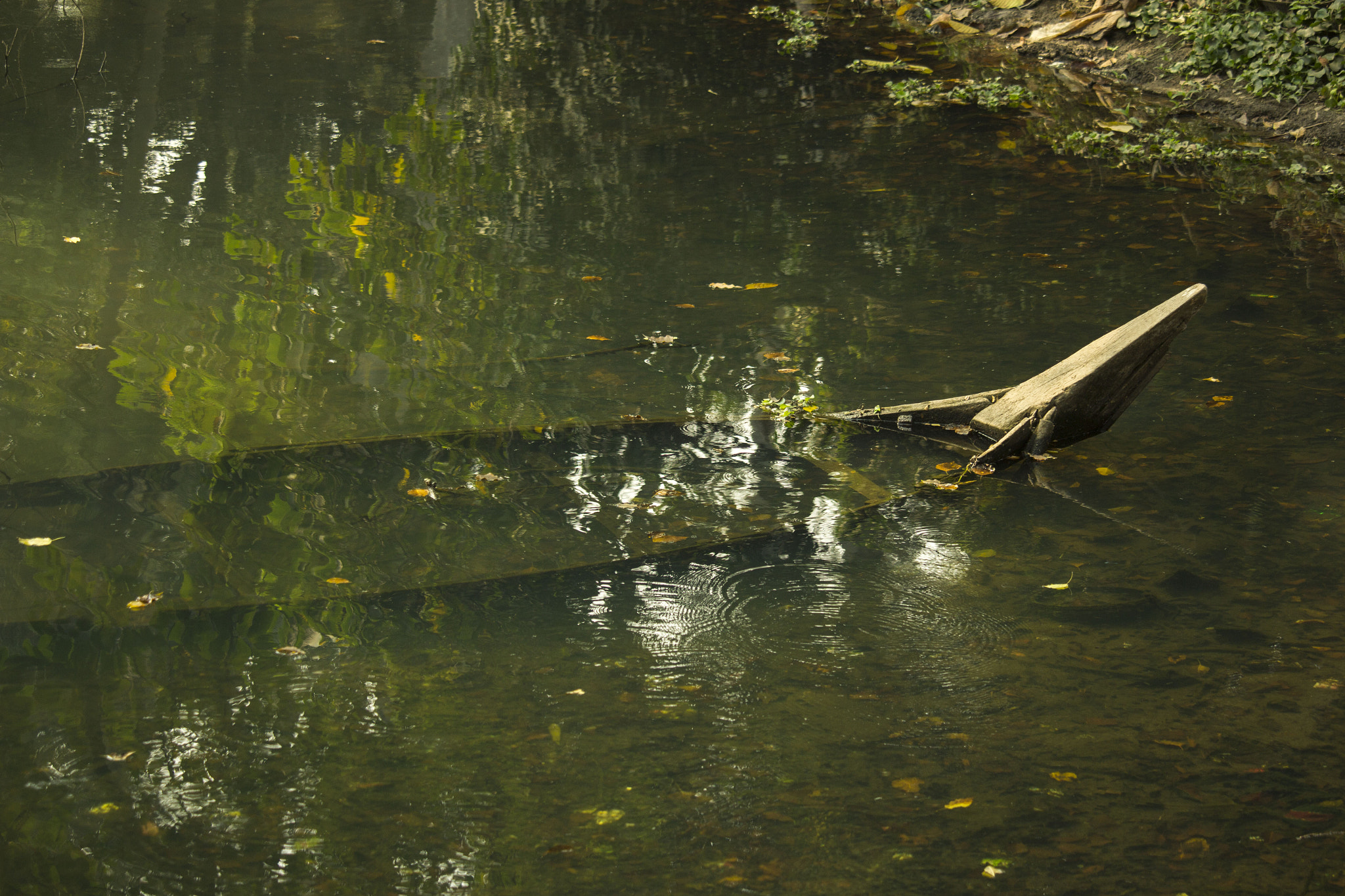 Canon EF-S 55-250mm F4-5.6 IS STM sample photo. Boat photography