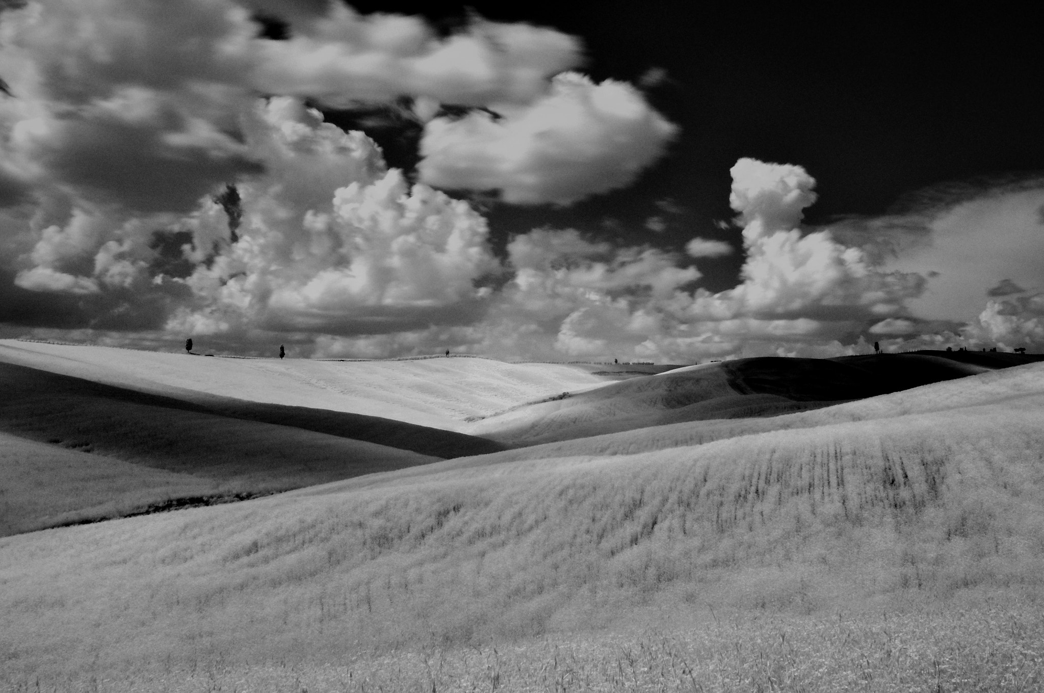 Nikon AF-S Nikkor 24-70mm F2.8G ED sample photo. Infrared countryside photography