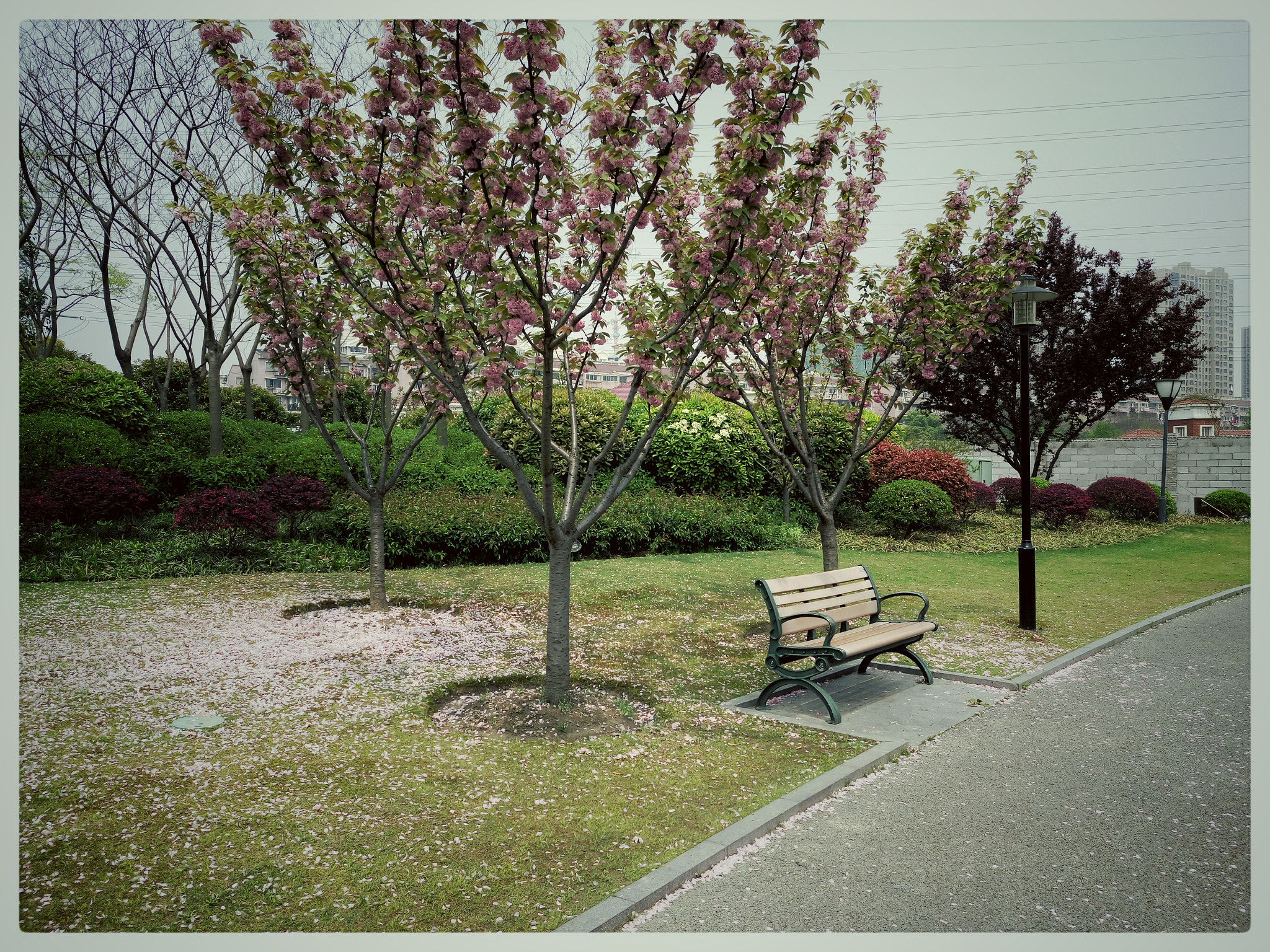 Meizu MX5 sample photo