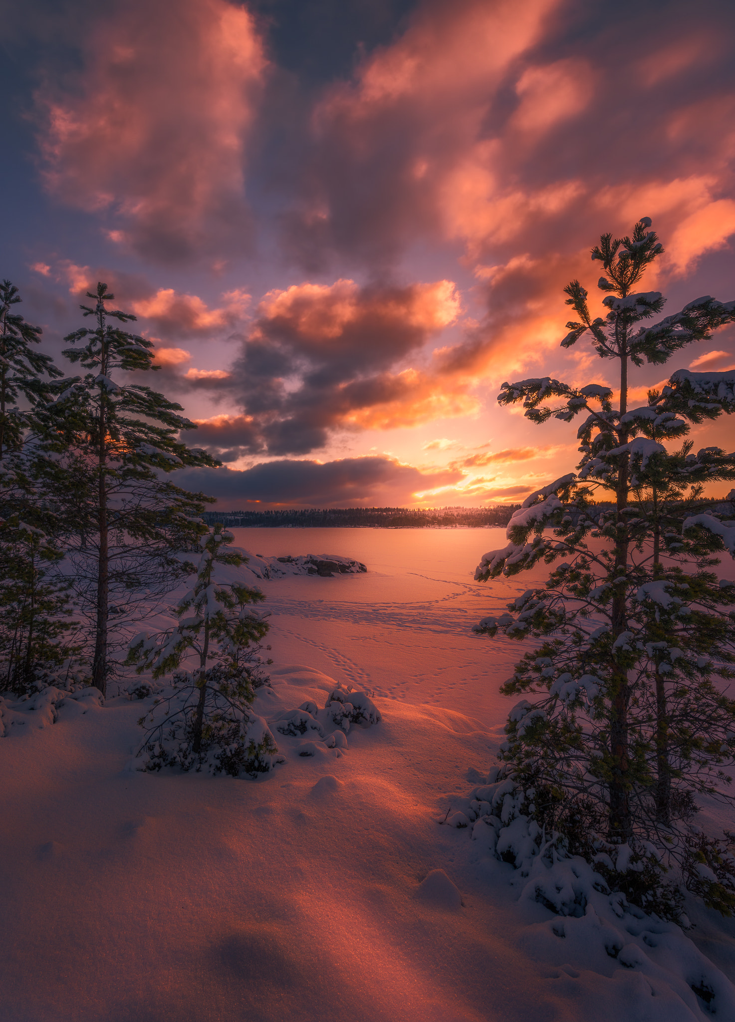 HD PENTAX-D FA 15-30mm F2.8 ED SDM WR sample photo. Halo on fire photography