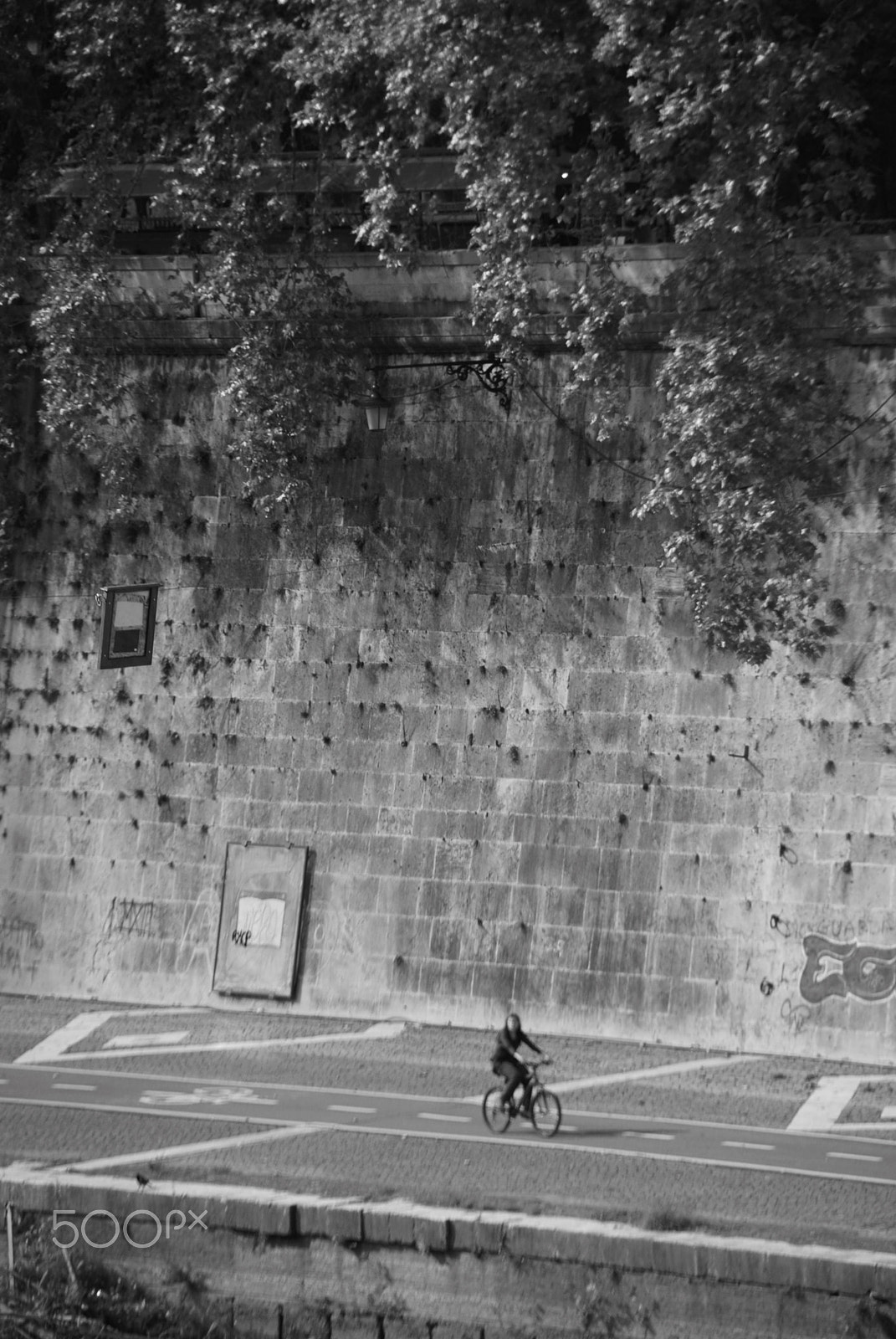 Nikon D80 sample photo. Biking on the tiber photography