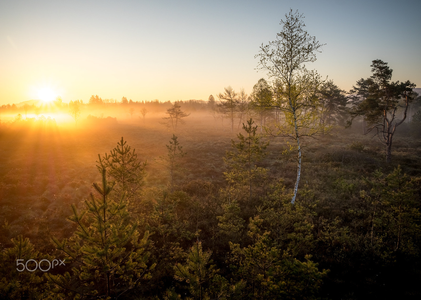 OLYMPUS 14-54mm Lens sample photo. Ground fog photography