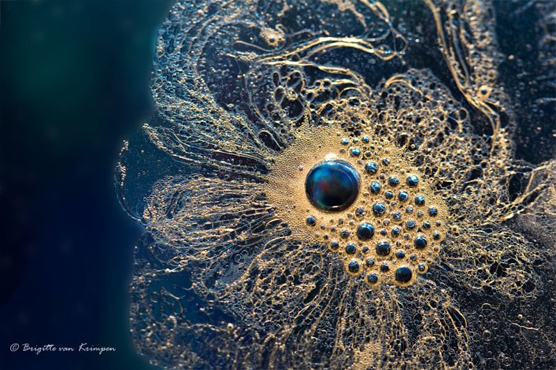 Canon EF 100mm F2.8 Macro USM sample photo. Blue jewels photography