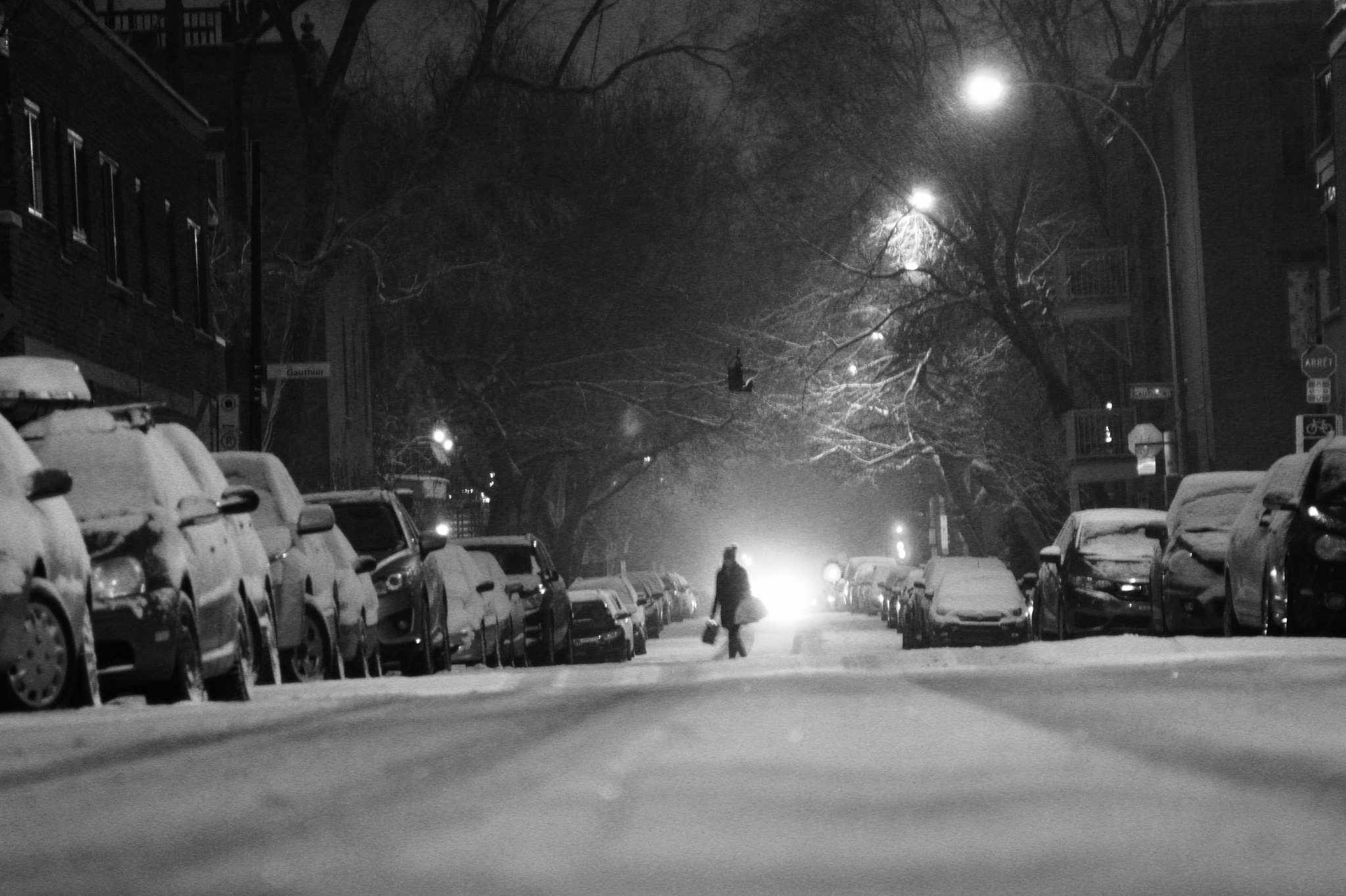 Canon EOS 1200D (EOS Rebel T5 / EOS Kiss X70 / EOS Hi) sample photo. Montreal photography