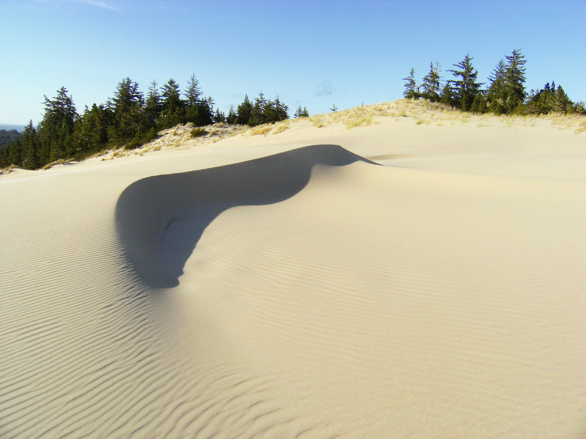 Fujifilm FinePix F480 sample photo. Sand dunes photography