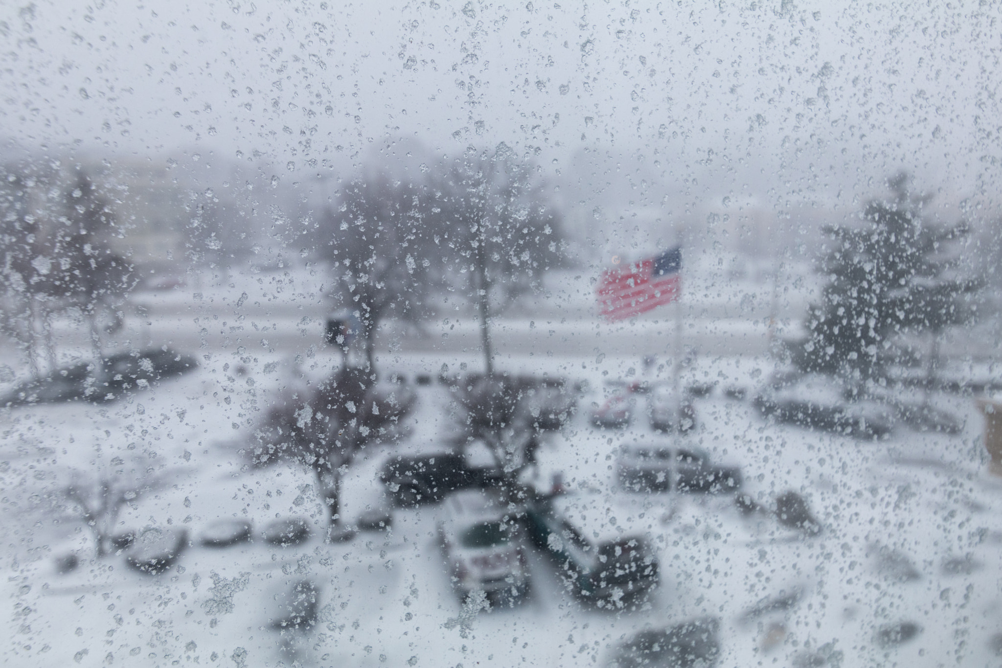 Canon EOS 80D sample photo. Snow blizzard in boston couple of days ago photography