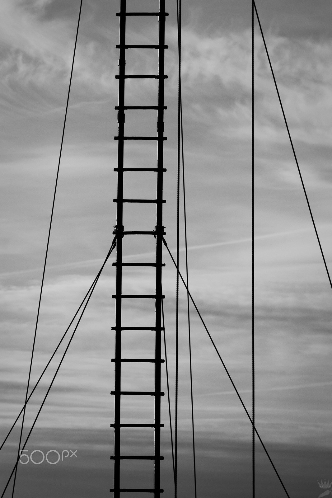 Sigma 105mm F2.8 EX DG OS HSM sample photo. Ladder to heaven photography
