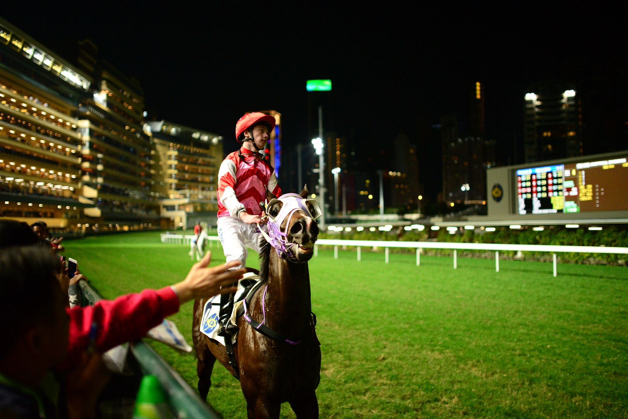 Nikon D600 + Sigma 35mm F1.4 DG HSM Art sample photo. Dsc photography