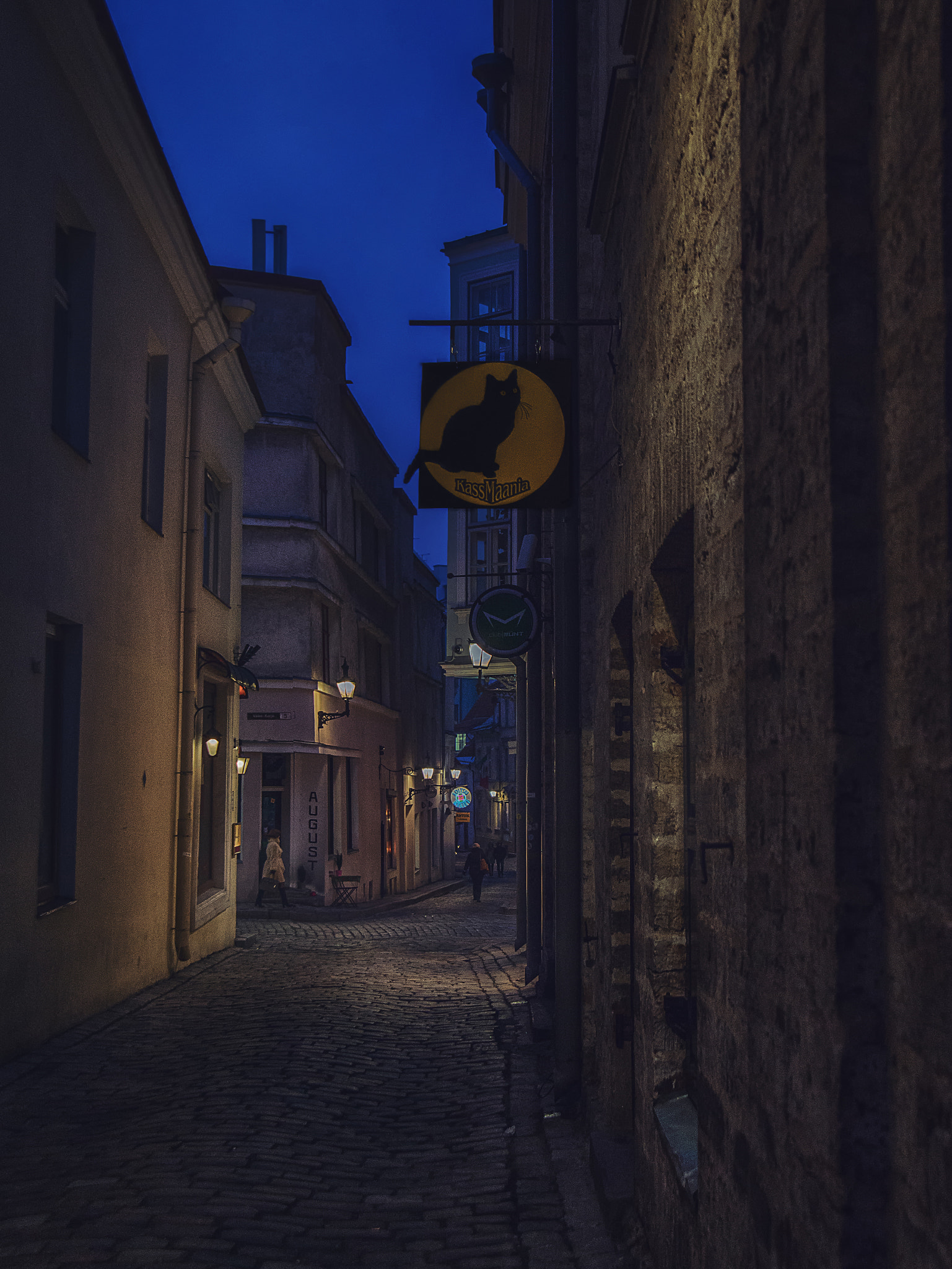 Nikon AF Nikkor 24-85mm F2.8-4D IF sample photo. Evening. city. street. cat. photography