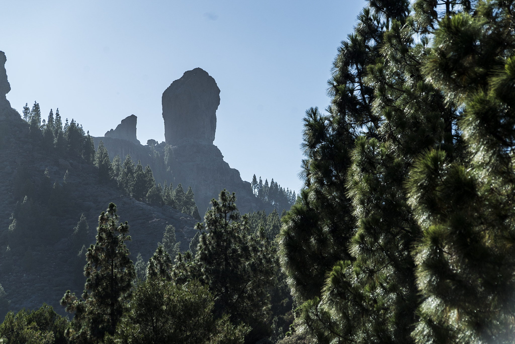 Tamron 18-270mm F3.5-6.3 Di II PZD sample photo. Roque nublo photography