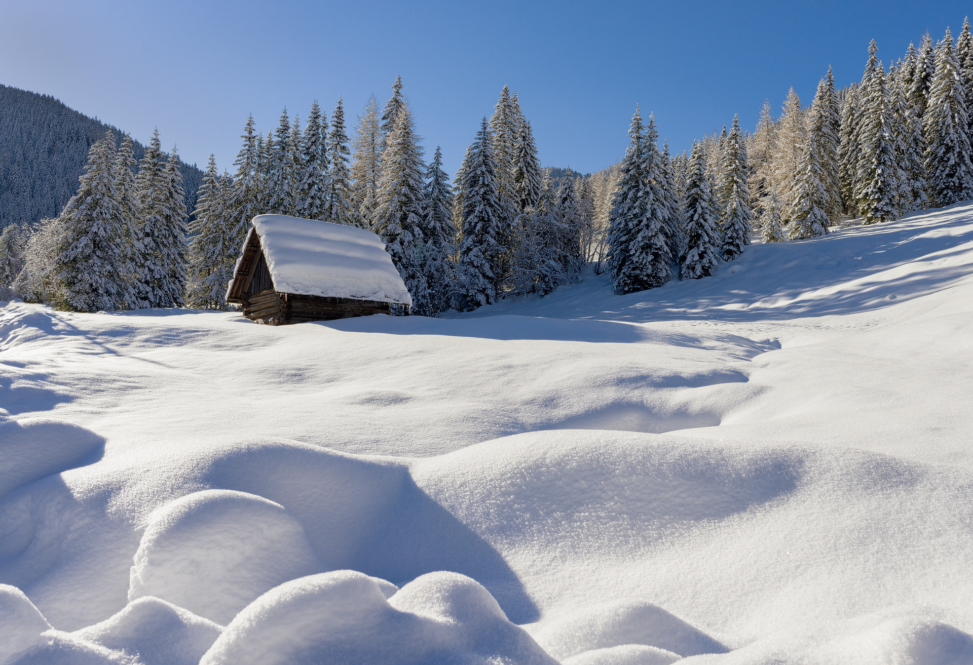 Nikon D800 + Nikon AF-S Nikkor 28mm F1.8G sample photo. Winter im lungau photography