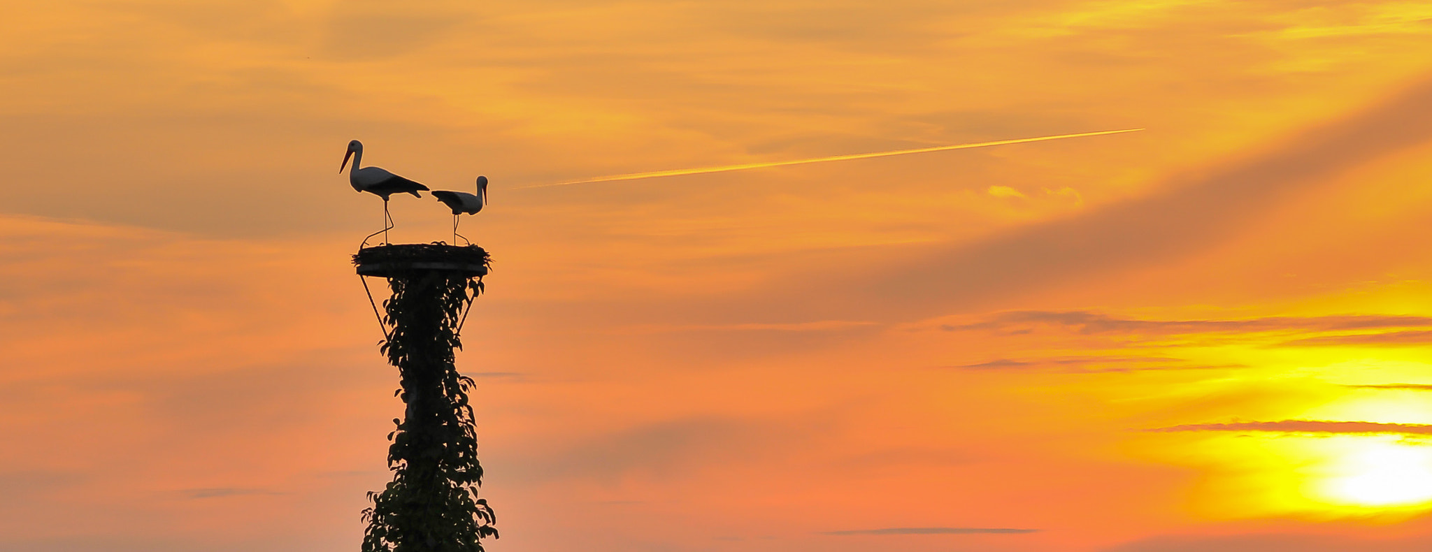 Nikon D700 sample photo. Sunset in my town photography