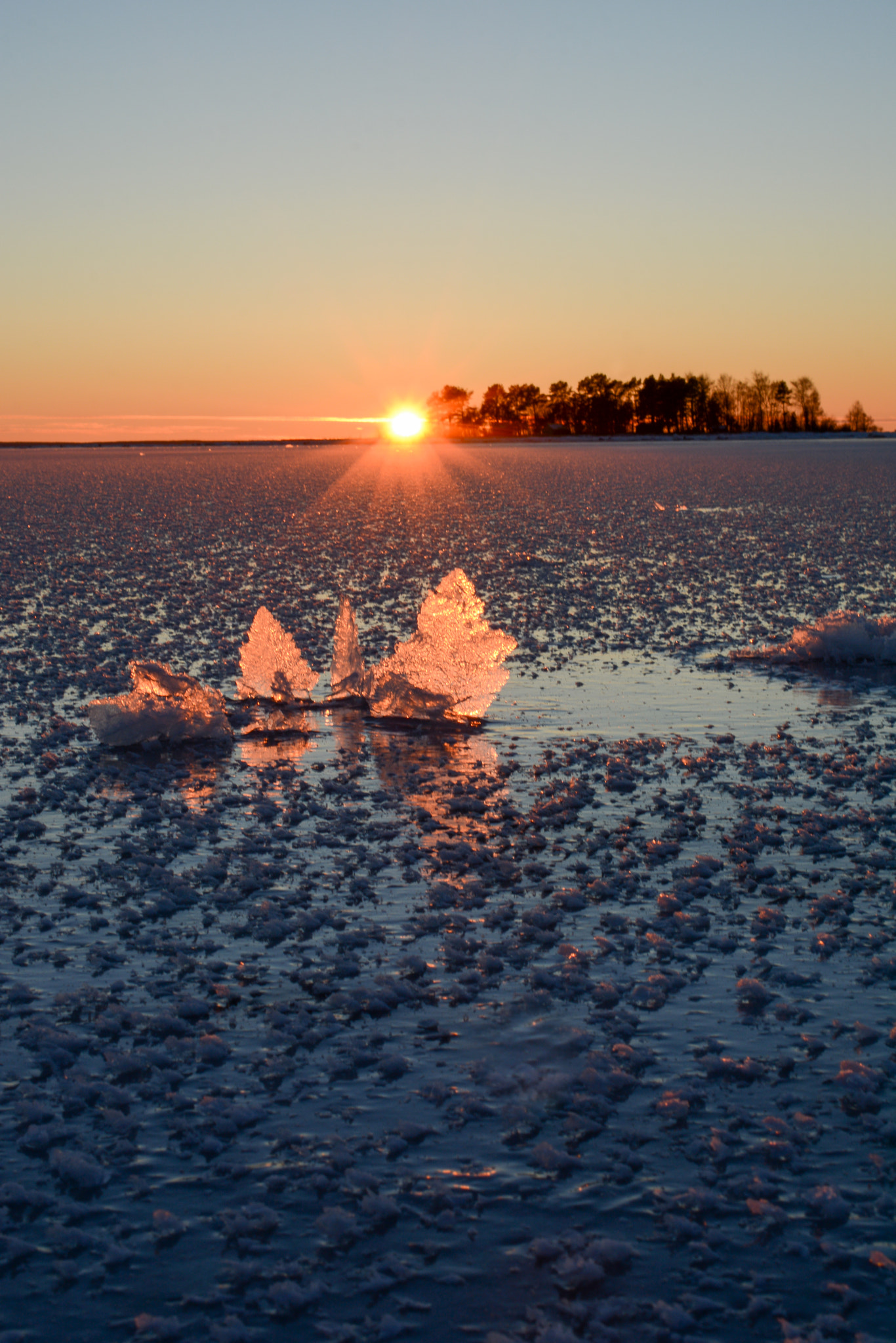 Nikon D7100 sample photo. Roses of ice at sunset photography