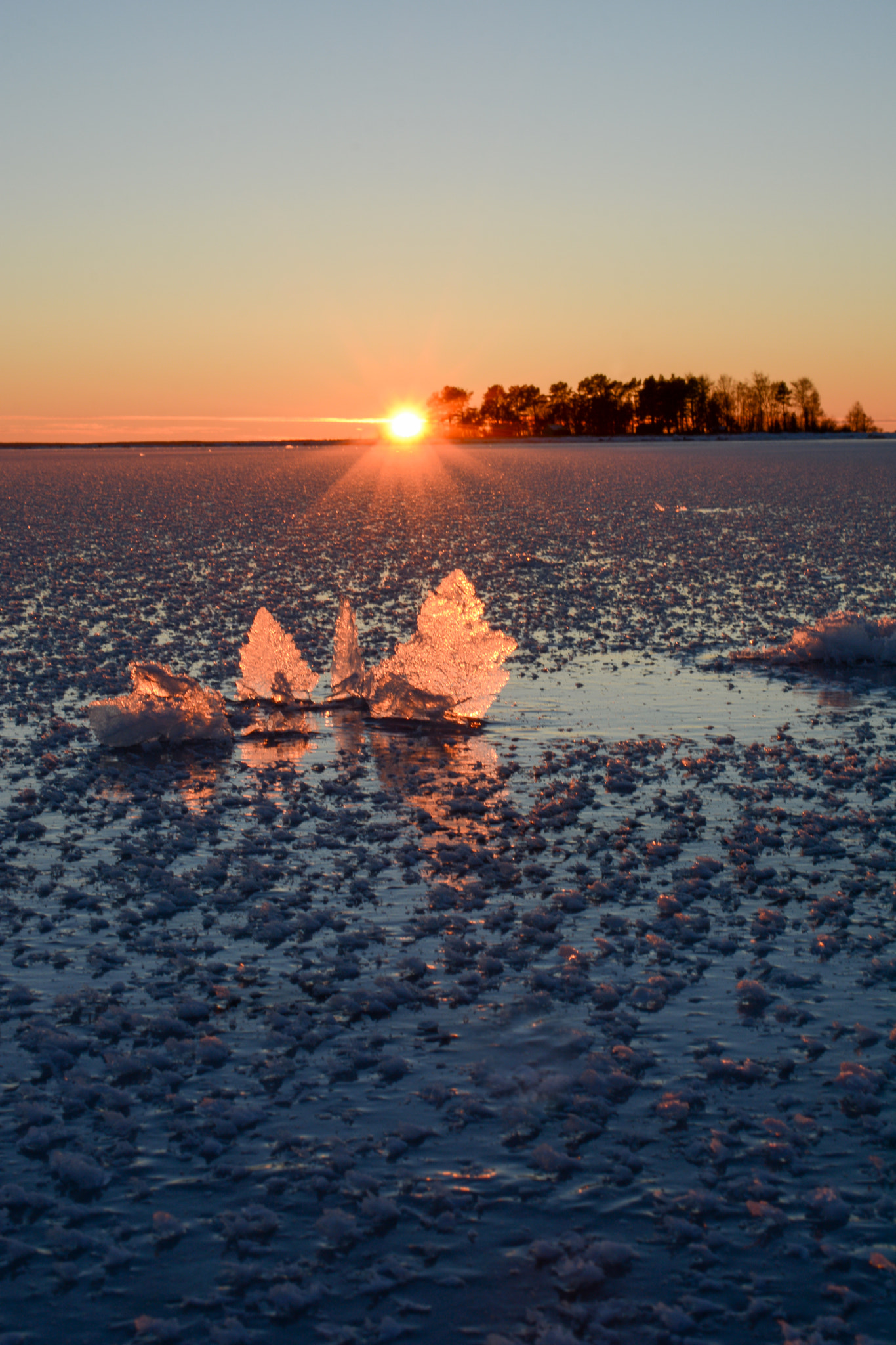 Nikon AF-S DX Micro Nikkor 40mm F2.8 sample photo. Roses of ice at sunset photography