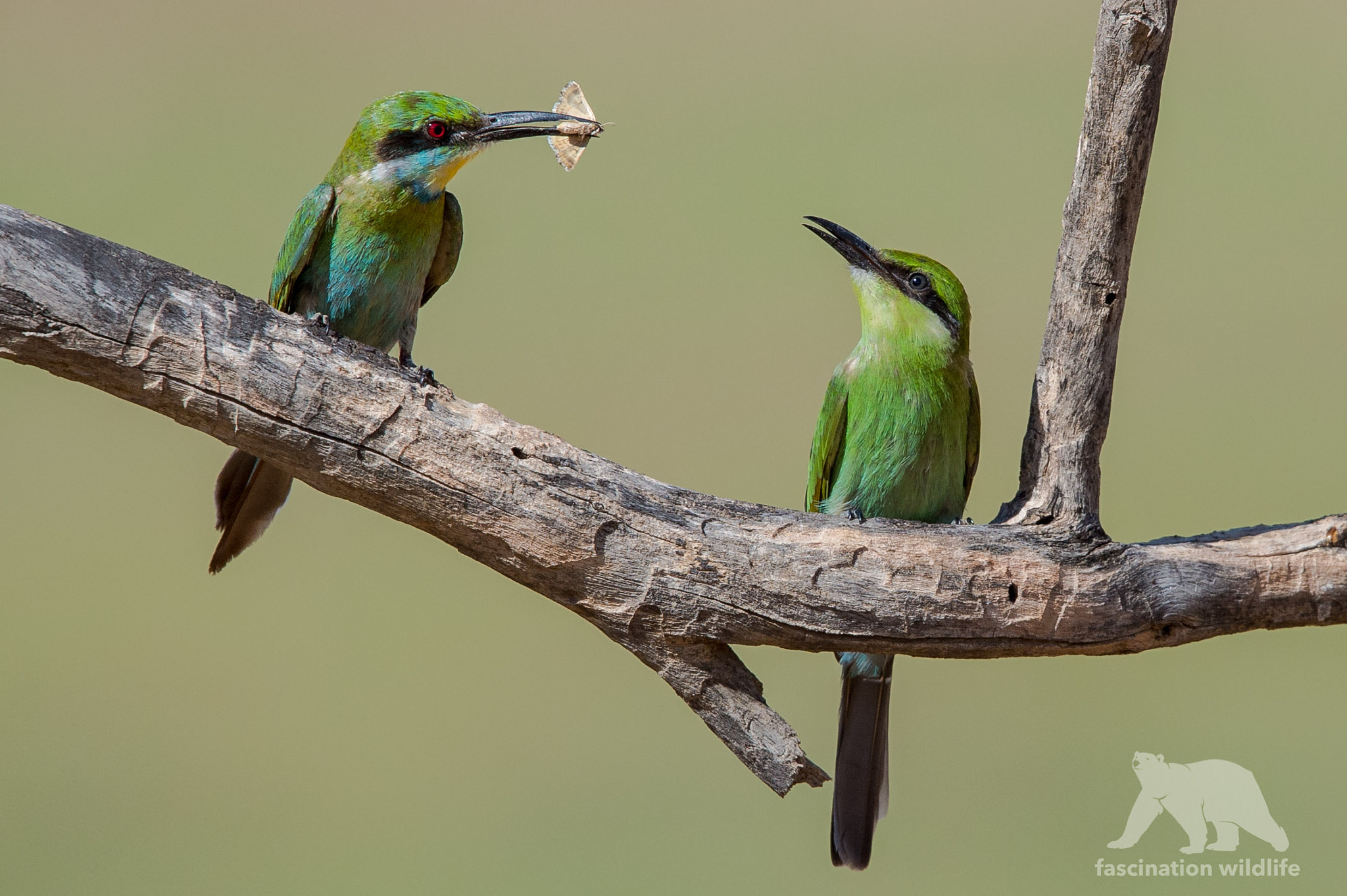 Sigma 150-600mm F5-6.3 DG OS HSM | S sample photo. The gift photography