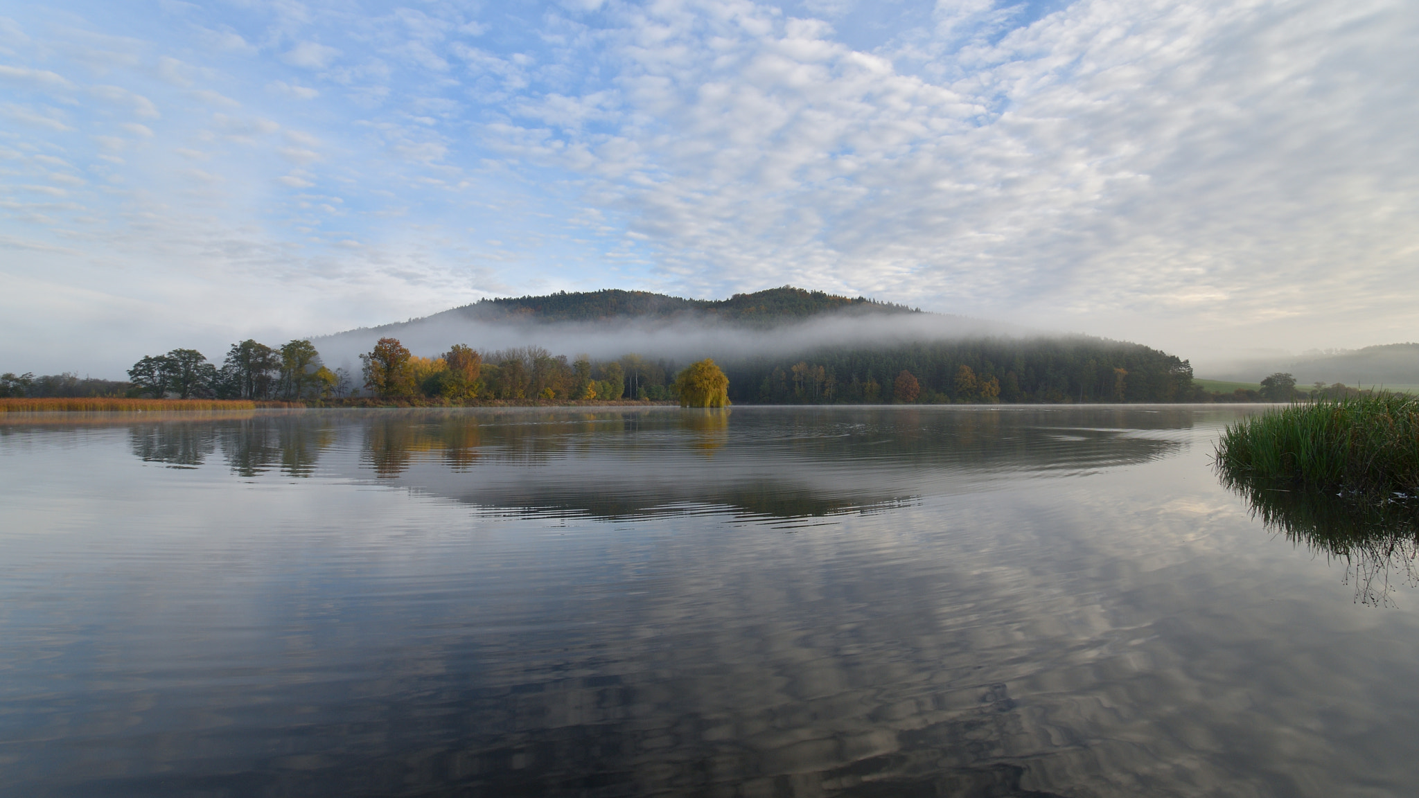 Nikon D5500 sample photo