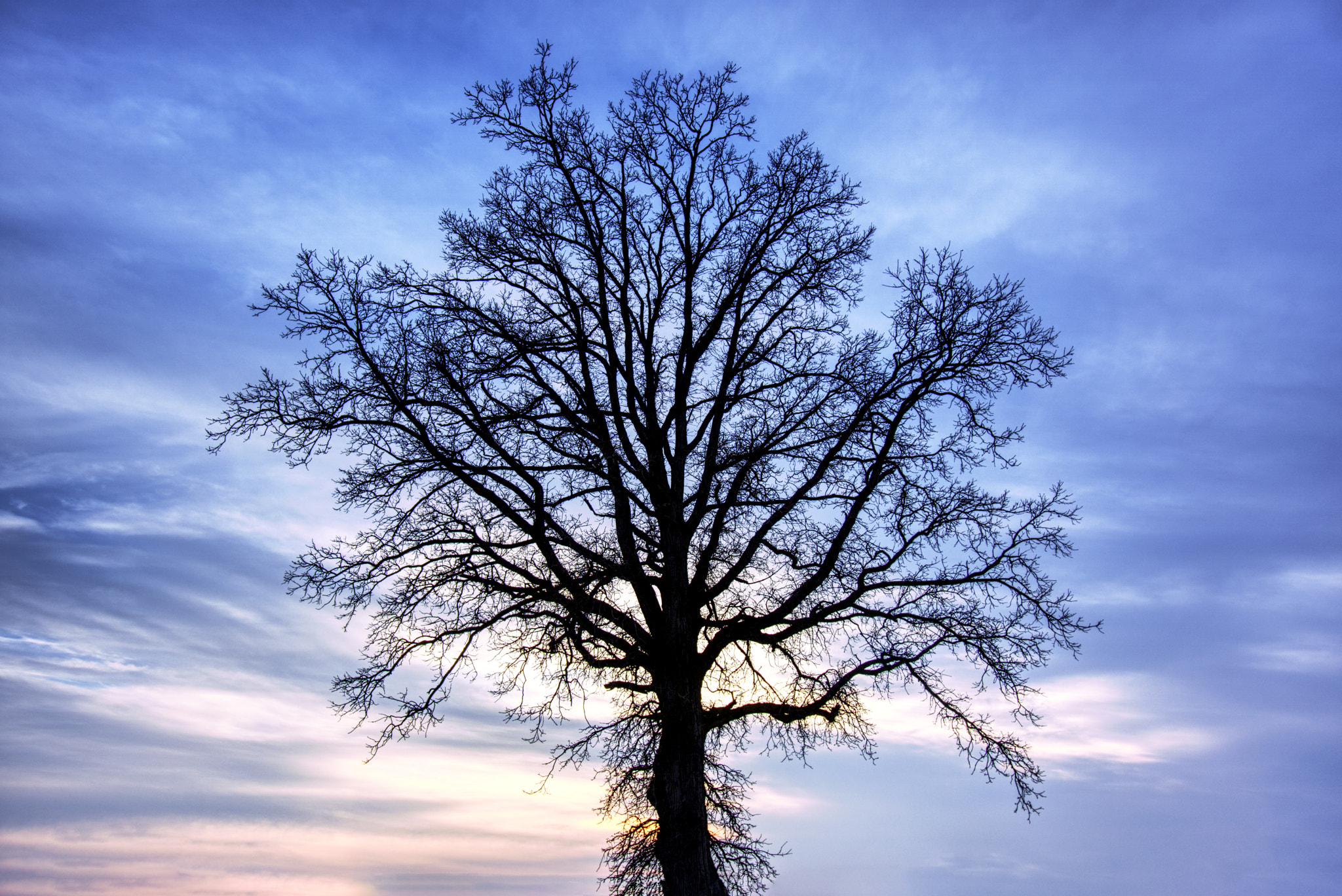 Sony a6000 + Sony E 10-18mm F4 OSS sample photo. Veins photography