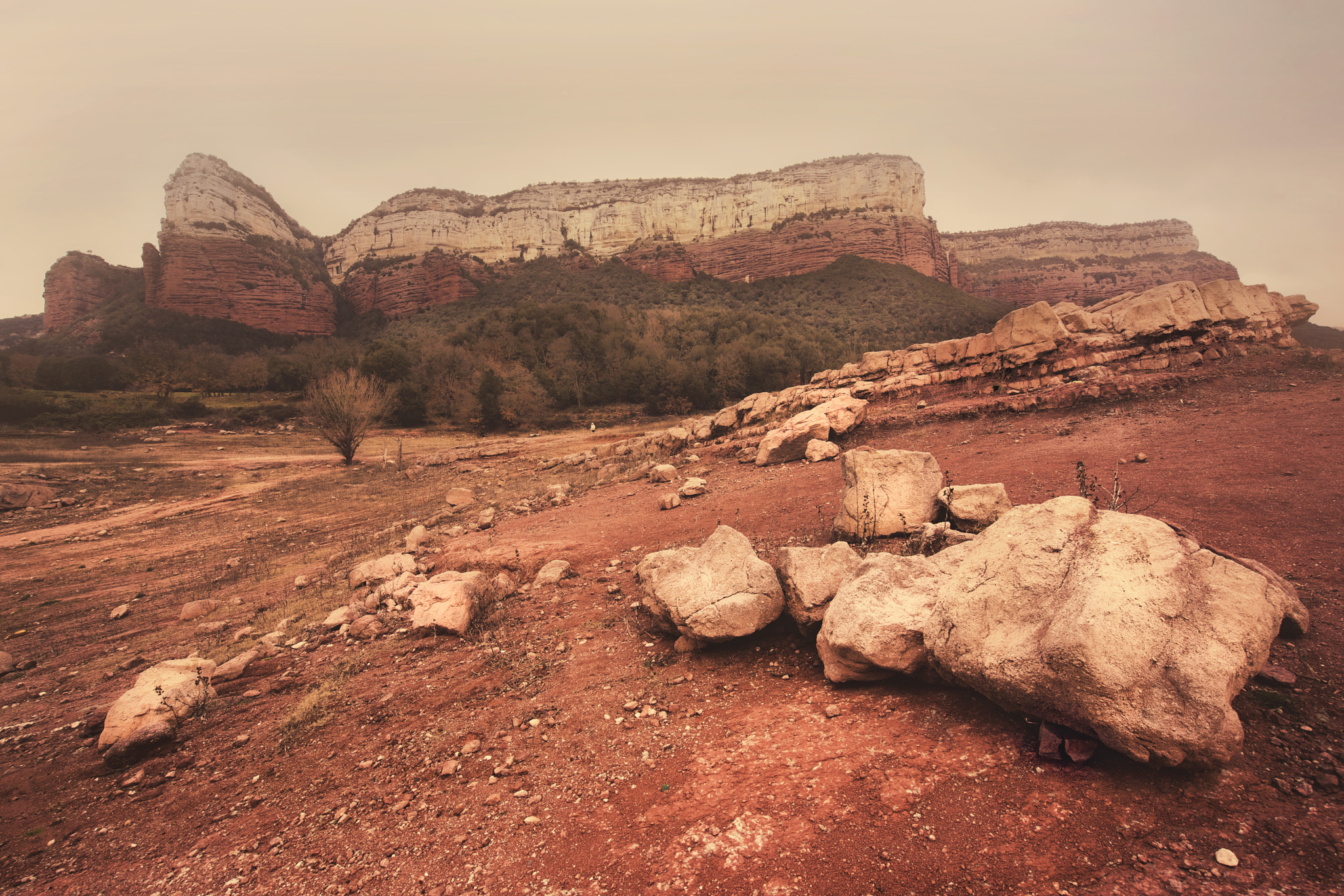 Sony a7R II + Sony Vario-Tessar T* FE 16-35mm F4 ZA OSS sample photo. Les guilleries photography