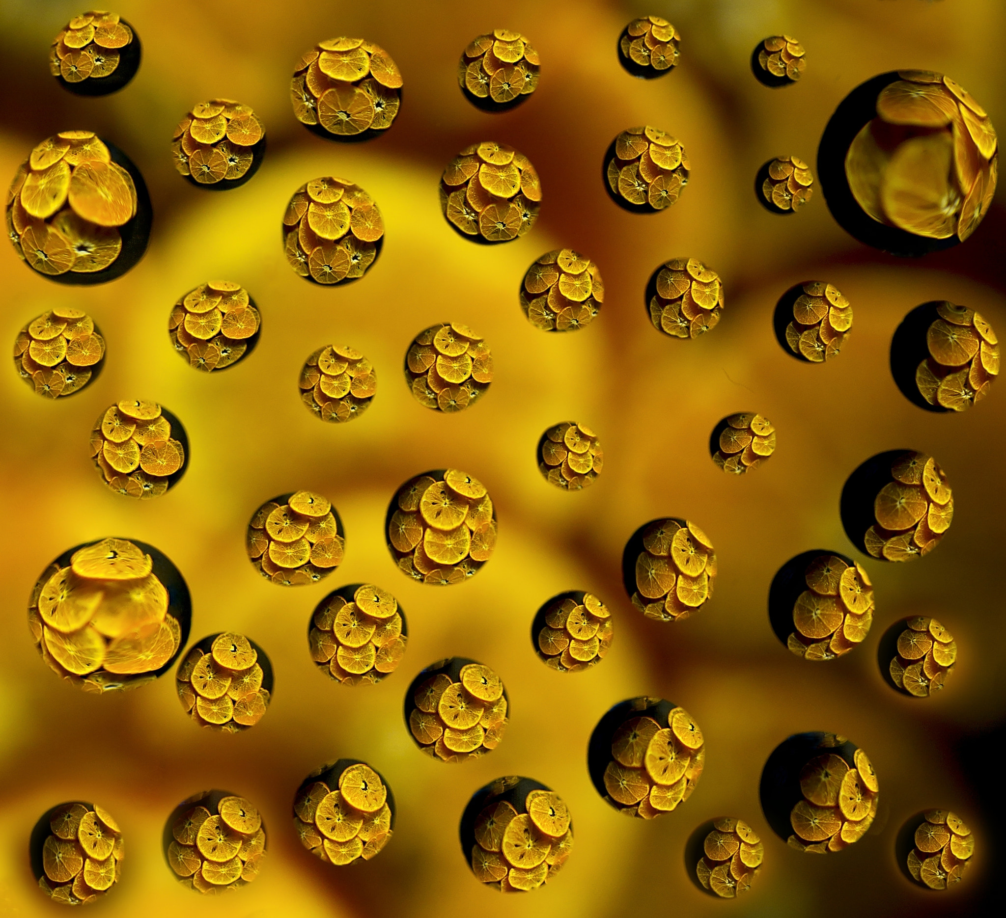 Canon EOS 60D + Tamron SP AF 90mm F2.8 Di Macro sample photo. Vitamins in drops. photography