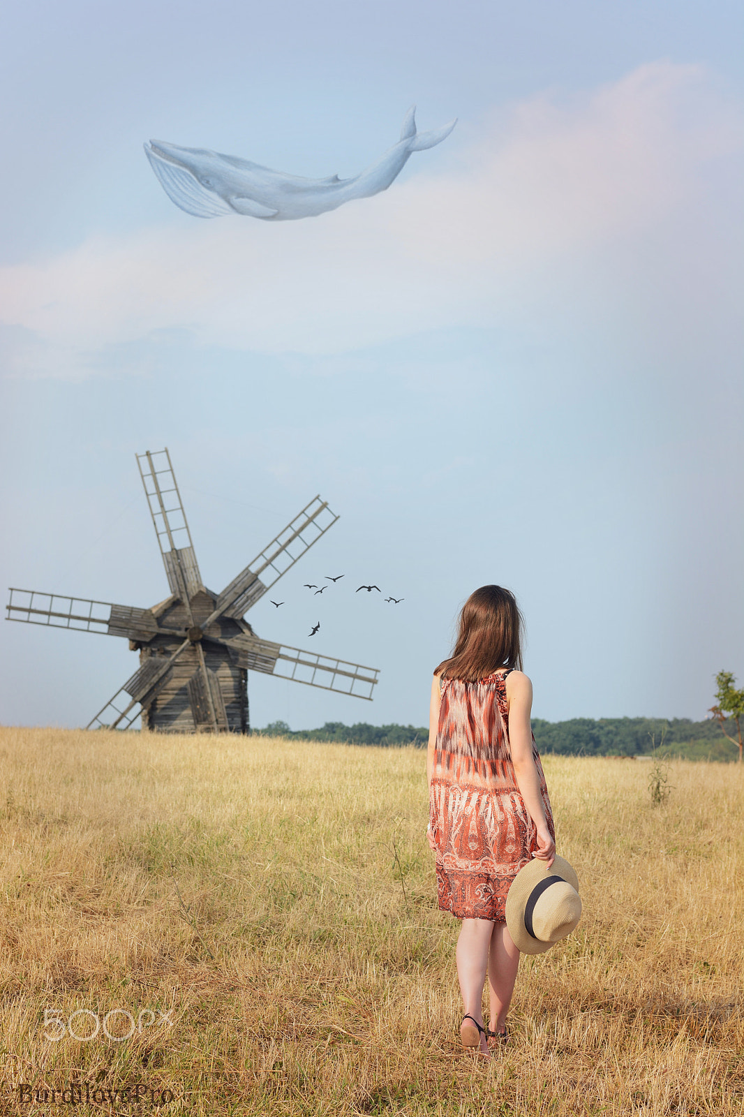 Nikon AF Nikkor 50mm F1.4D sample photo. Кит photography