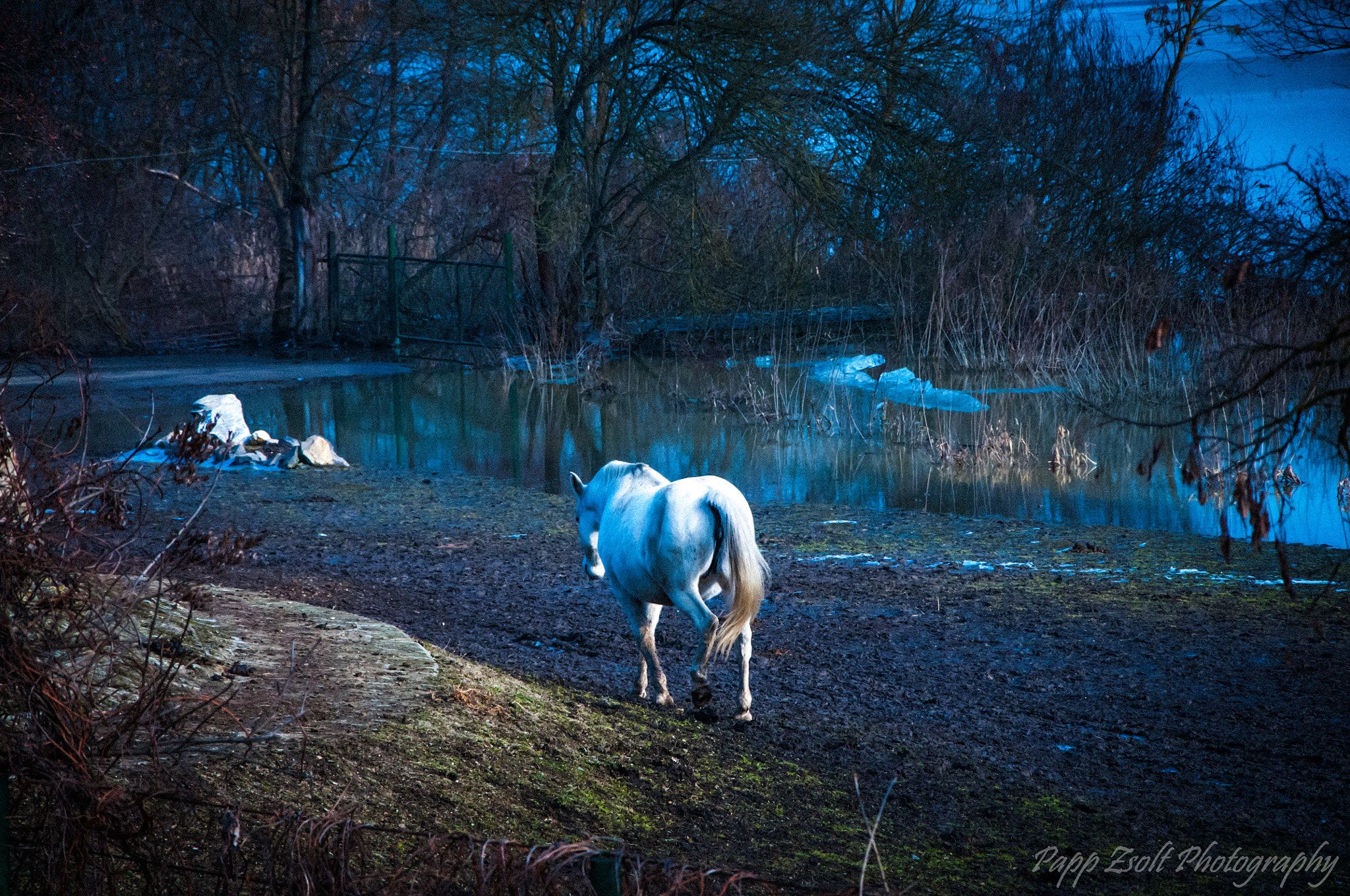 Nikon D300 sample photo. At the right time in the right place! photography