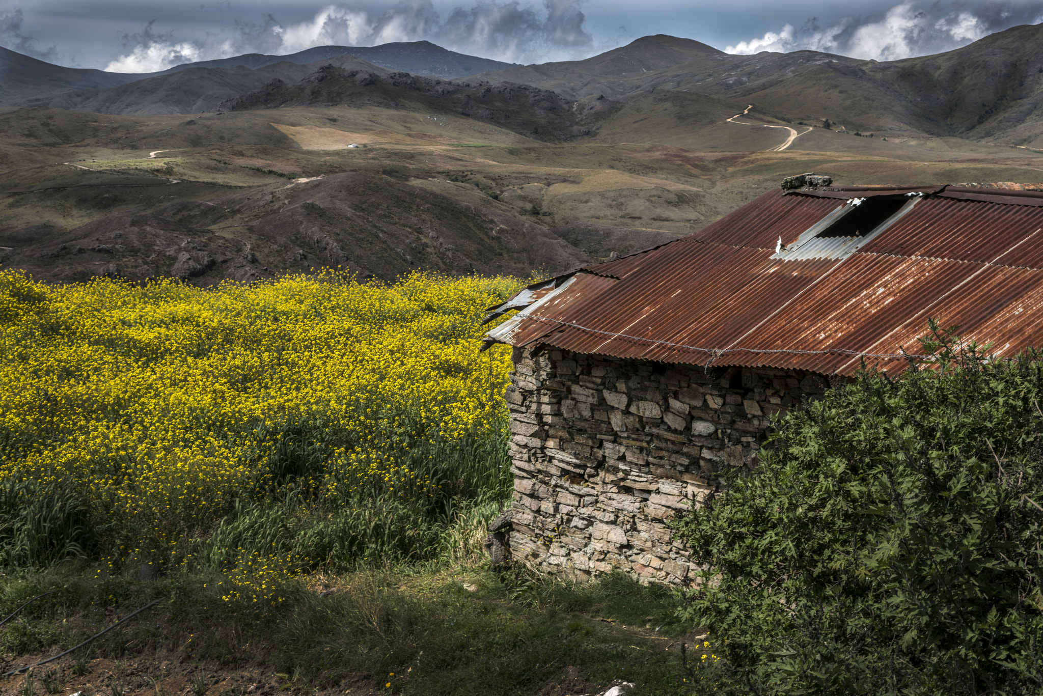 Nikon D800E sample photo. Fbb photography
