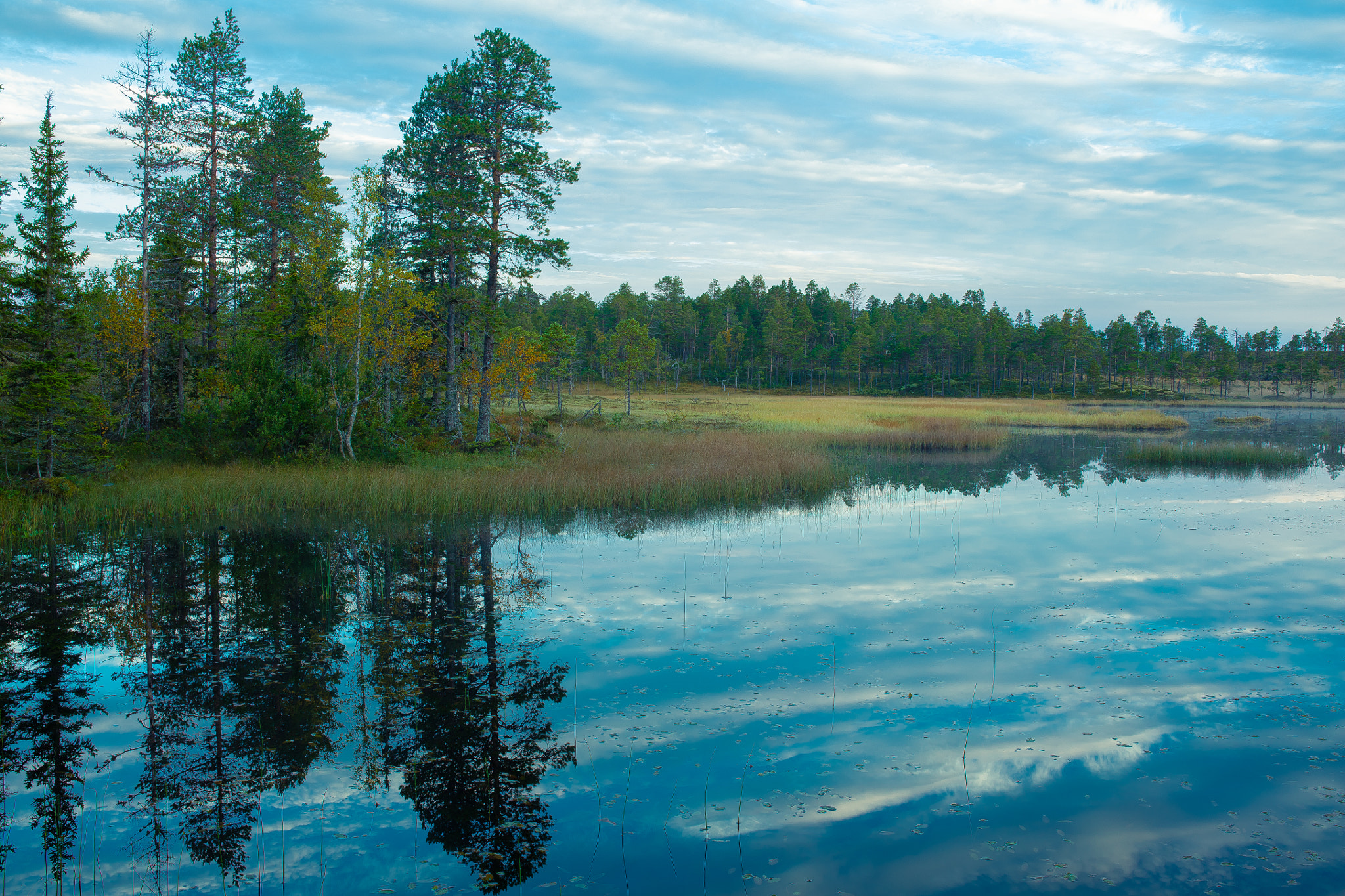 Sigma 35mm F1.4 DG HSM Art sample photo. Autumn glow by the lake photography