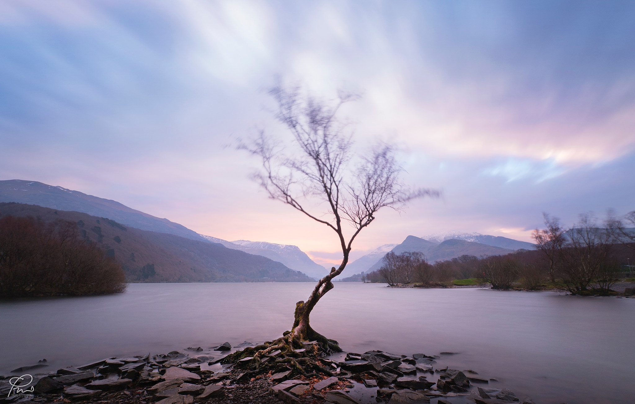 Olympus OM-D E-M5 II + OLYMPUS M.9-18mm F4.0-5.6 sample photo. The most photographed tree in wales photography