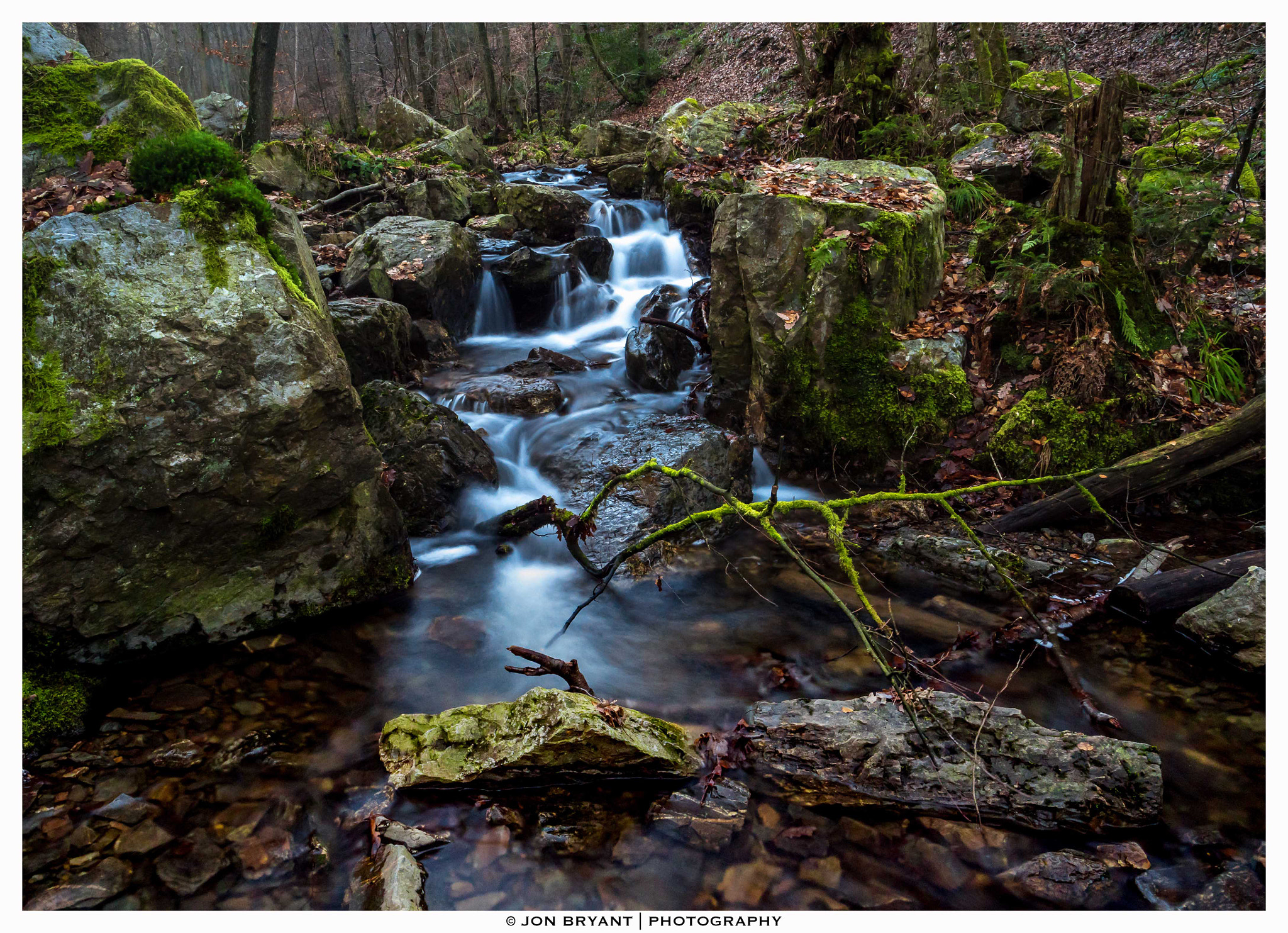 Panasonic Lumix DMC-GH4 sample photo. In the heart of the forest (gh5) photography