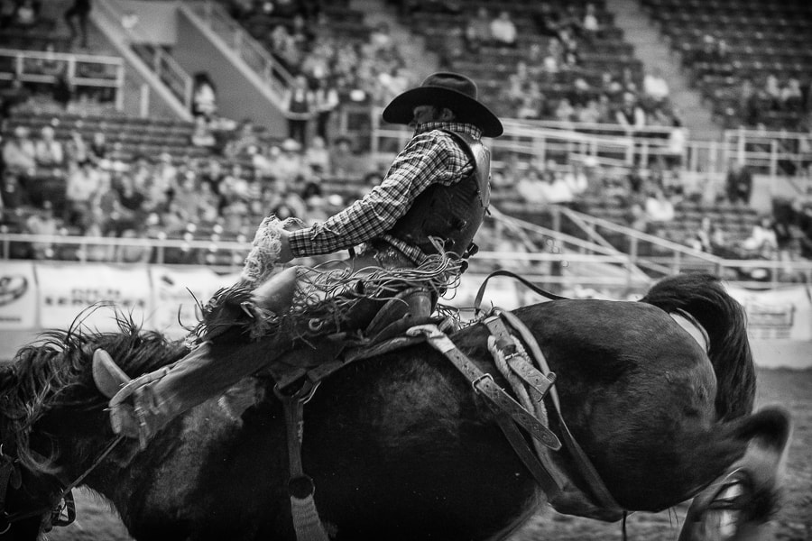 Canon EOS-1D X Mark II sample photo. Rodeo night in texas photography