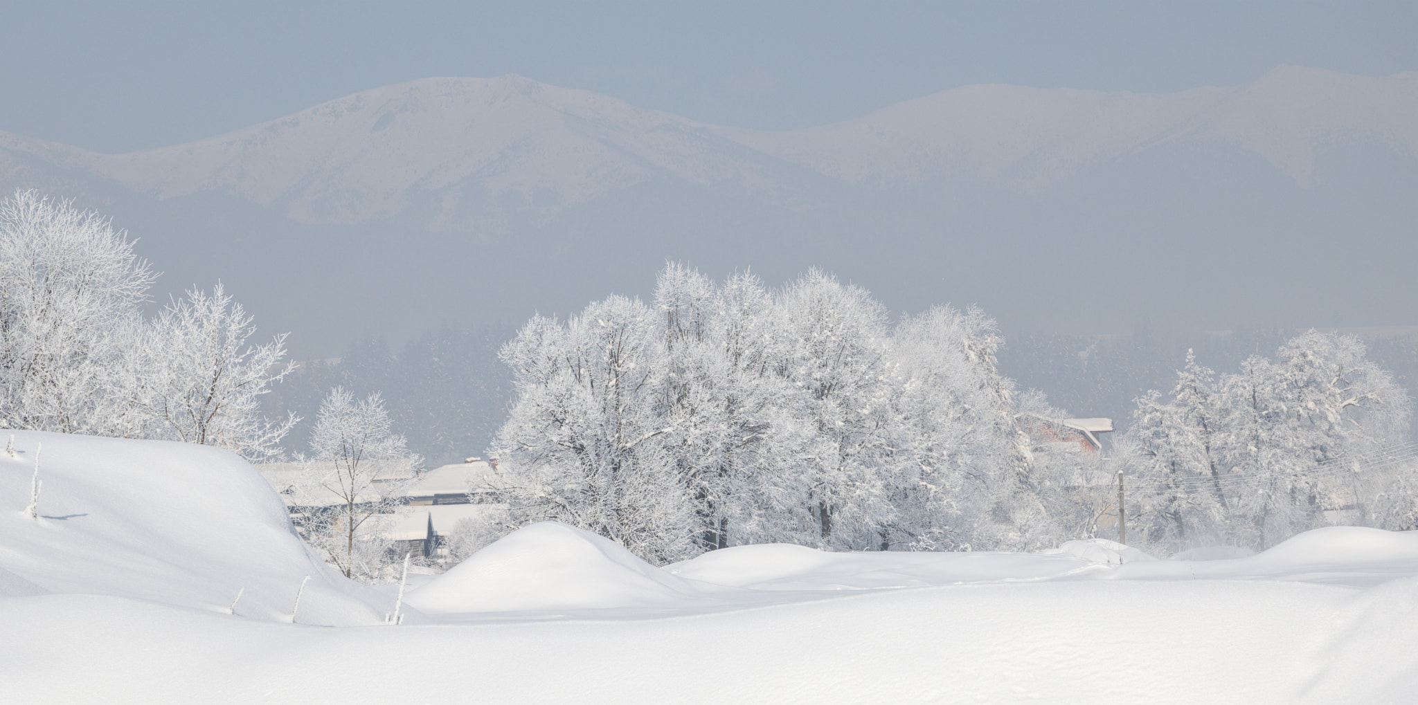 Canon EOS 760D (EOS Rebel T6s / EOS 8000D) + Canon EF 24-105mm F4L IS USM sample photo. Trees covered with hoarfrost and snow in winter on mountains background photography