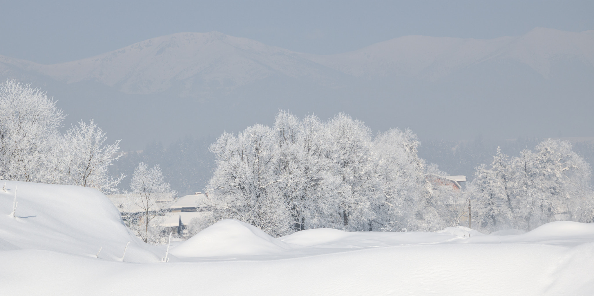 Canon EOS 760D (EOS Rebel T6s / EOS 8000D) sample photo. Trees covered with hoarfrost and snow in winter on mountains background photography