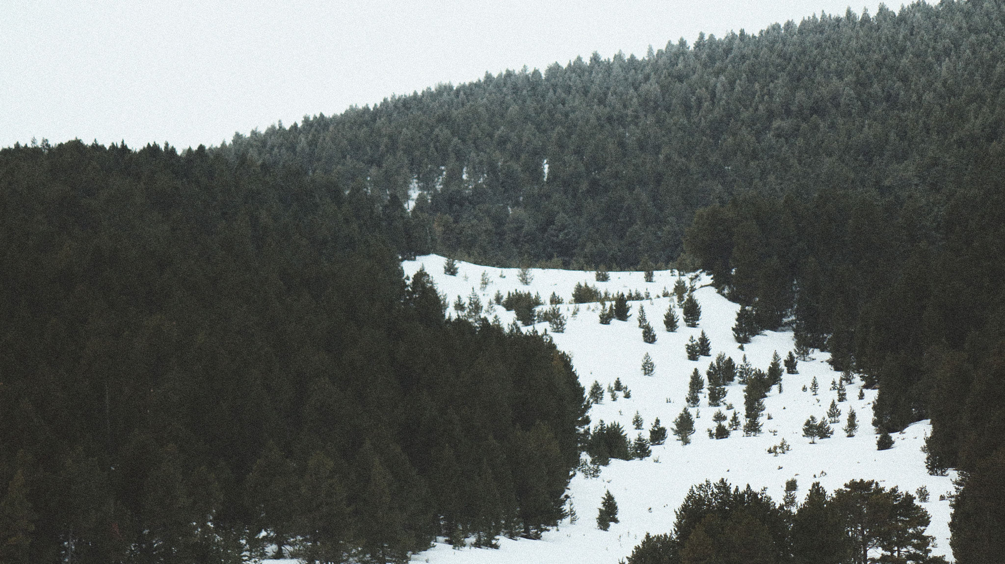 Canon EOS 760D (EOS Rebel T6s / EOS 8000D) sample photo. Snow photography