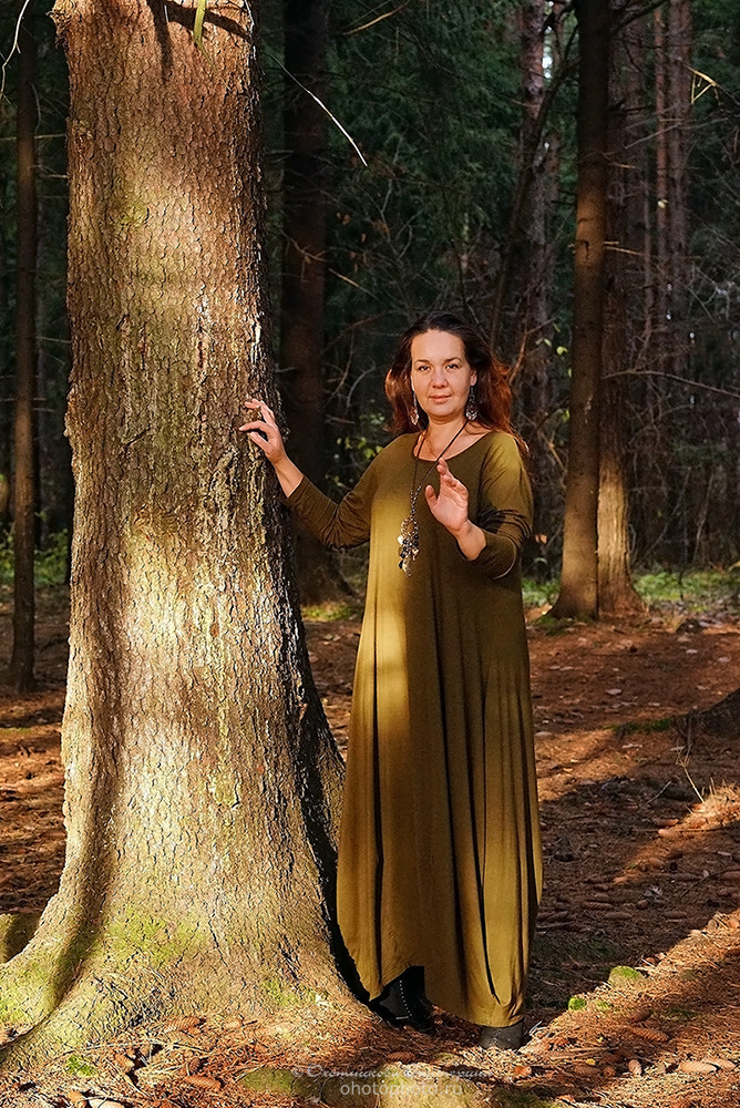 Sony a7 sample photo. Forest sorceress photography