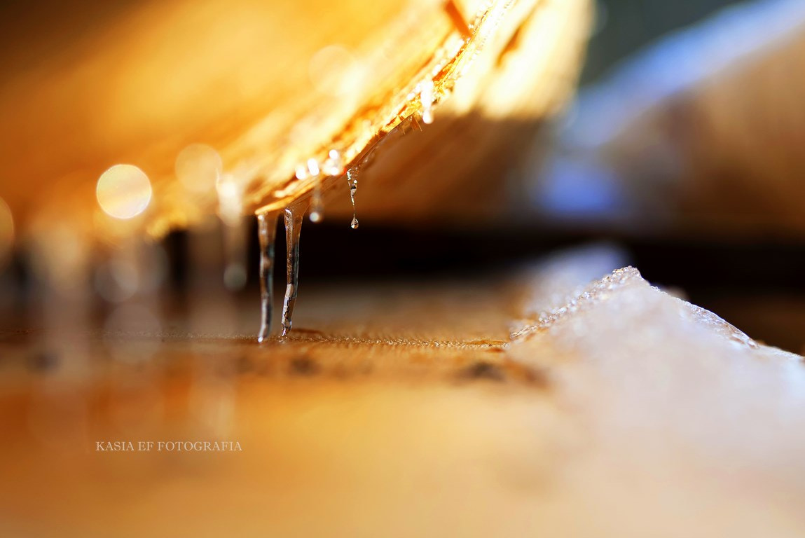 Nikon D300 sample photo. ... photography
