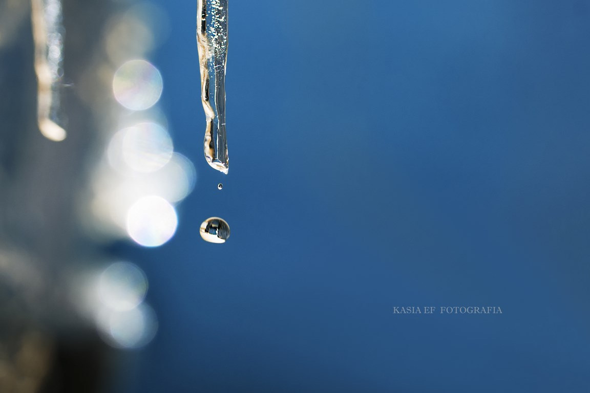 Nikon D300 sample photo. ... photography